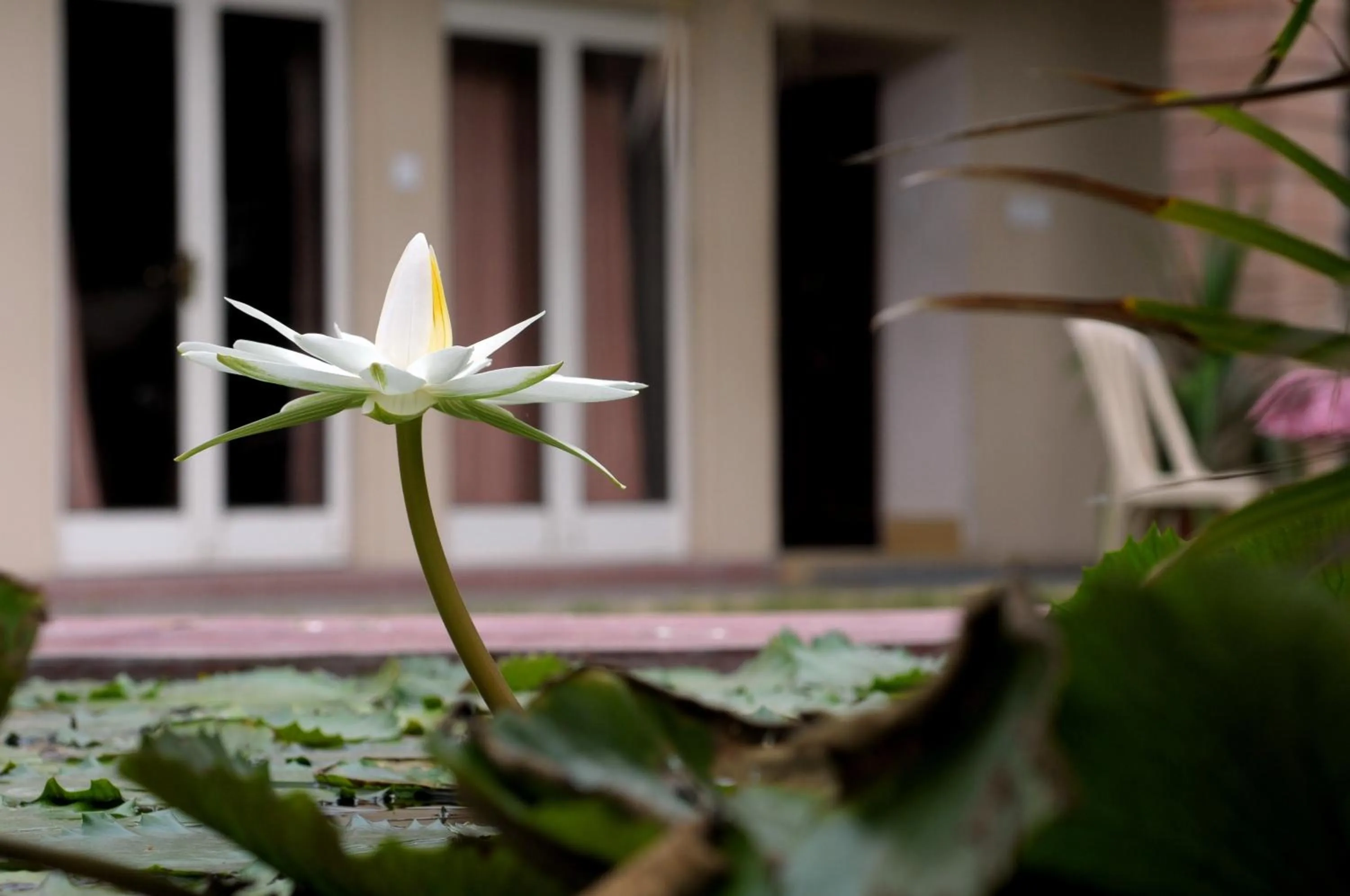 Other in Hotel Jai Niwas