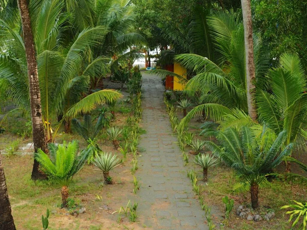 Garden in Sablayan Gustav's Place Silver Beach Dive Resort