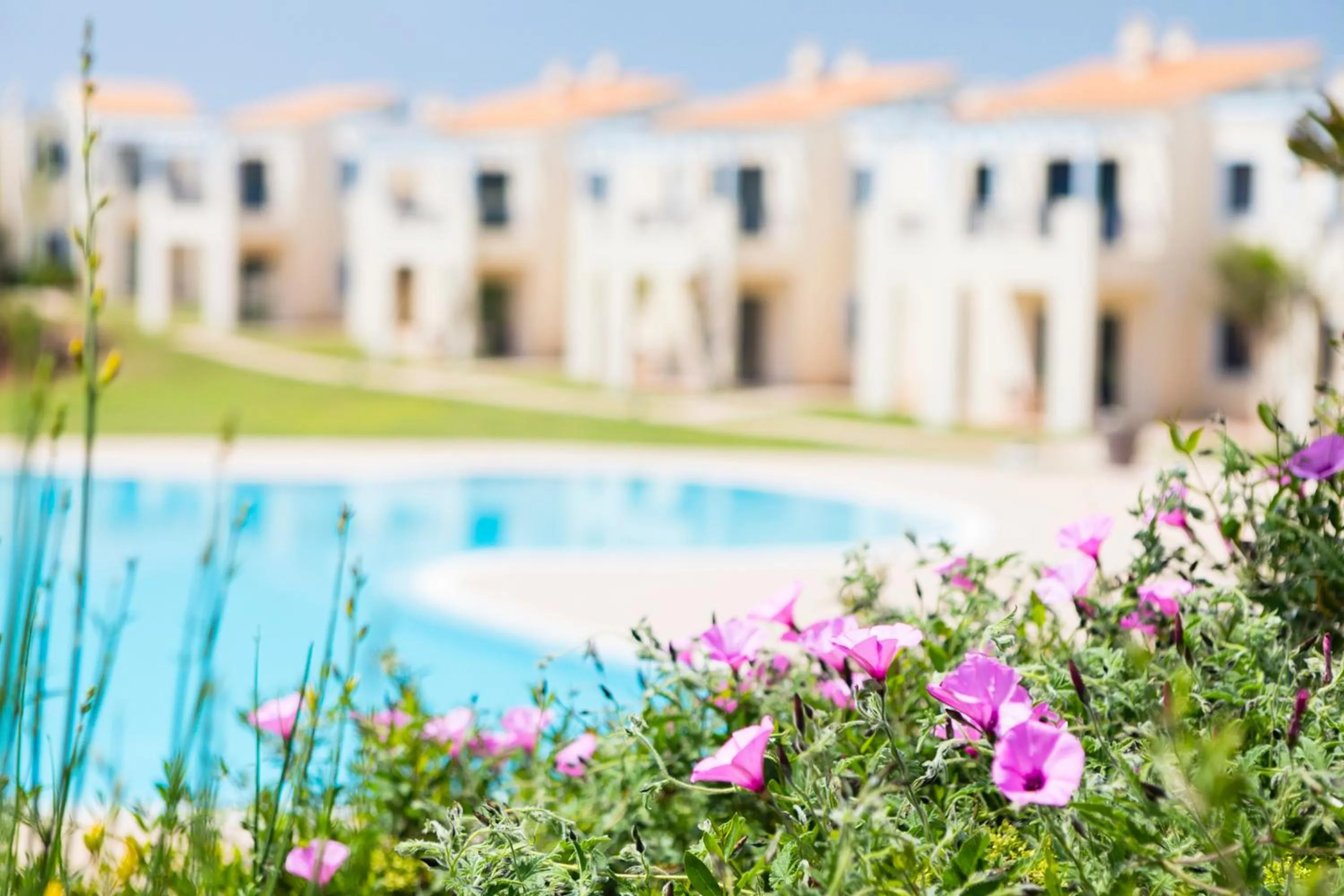 Swimming pool in Bimbolla Apartaments