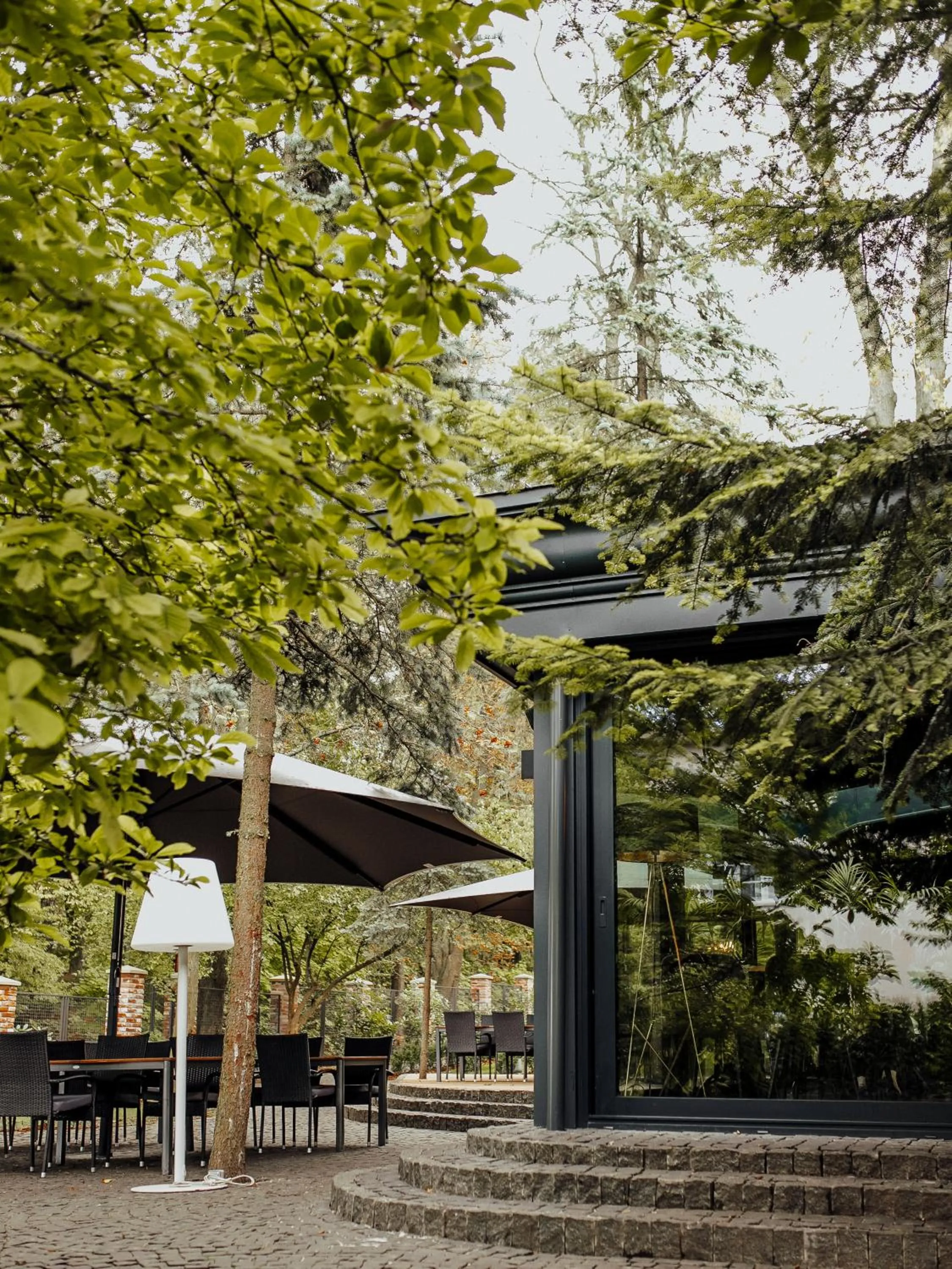 Restaurant/places to eat in Lion's Castle Hotel