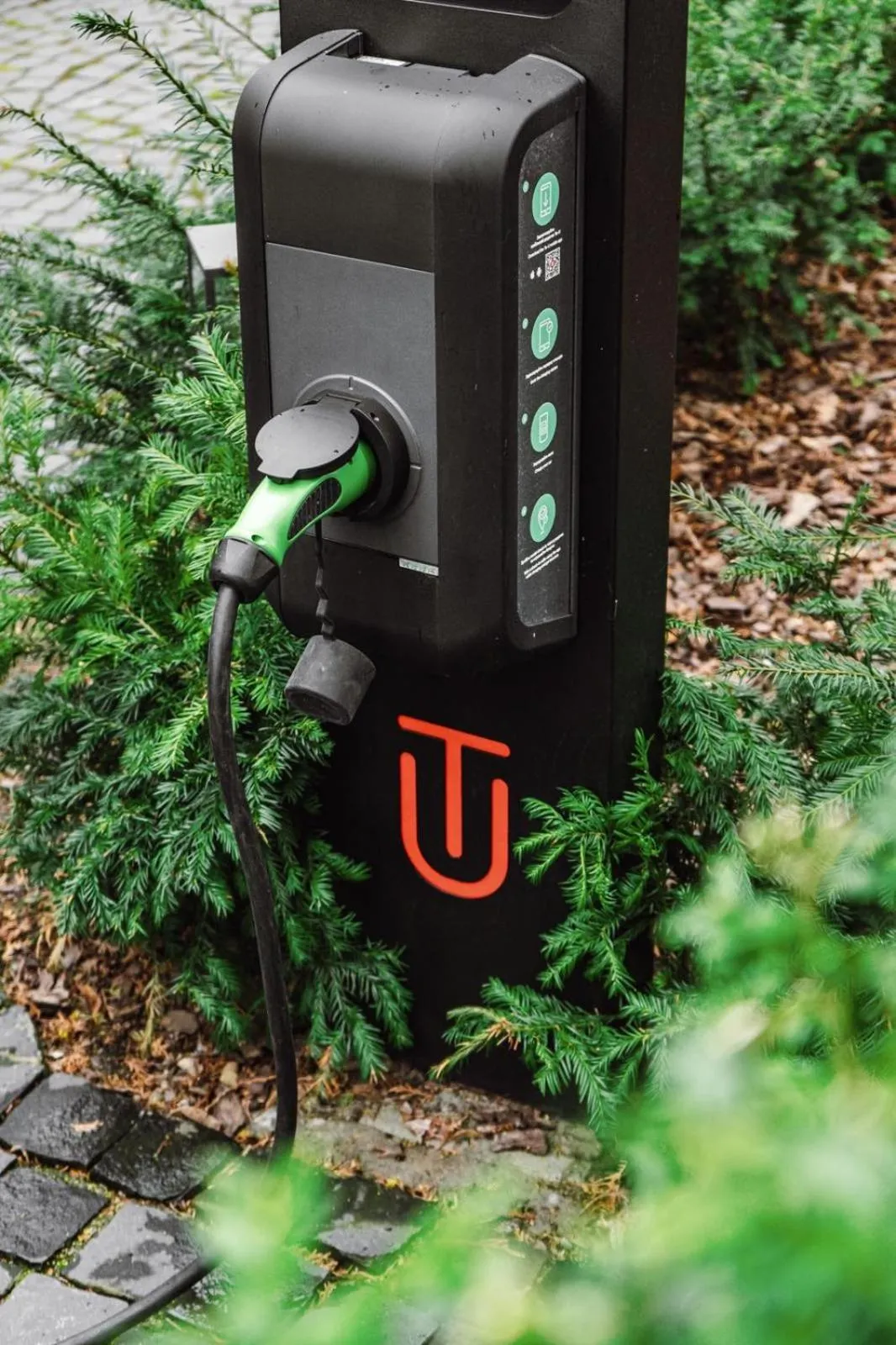 Parking in Lion's Castle Hotel