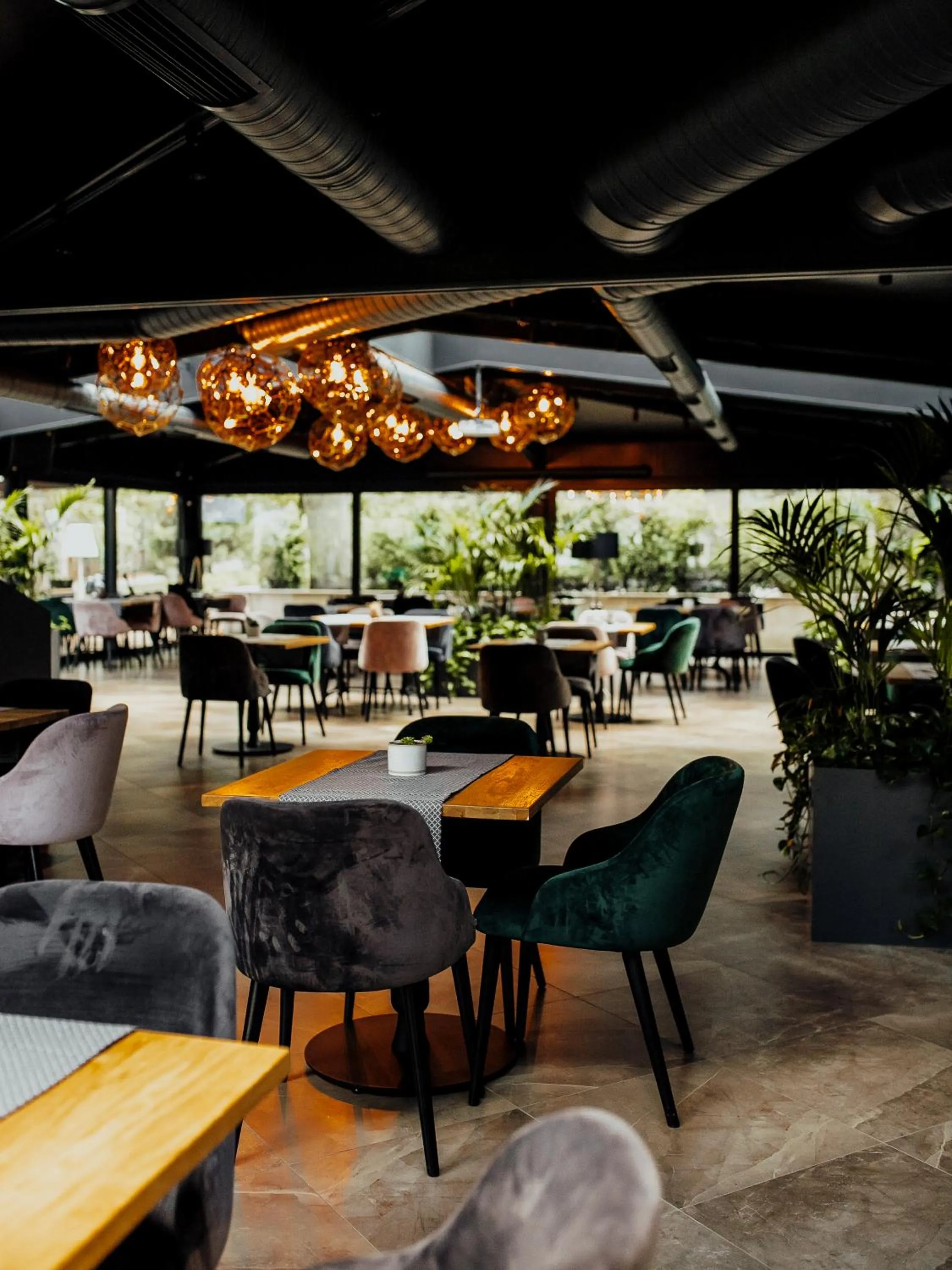 Restaurant/places to eat in Lion's Castle Hotel