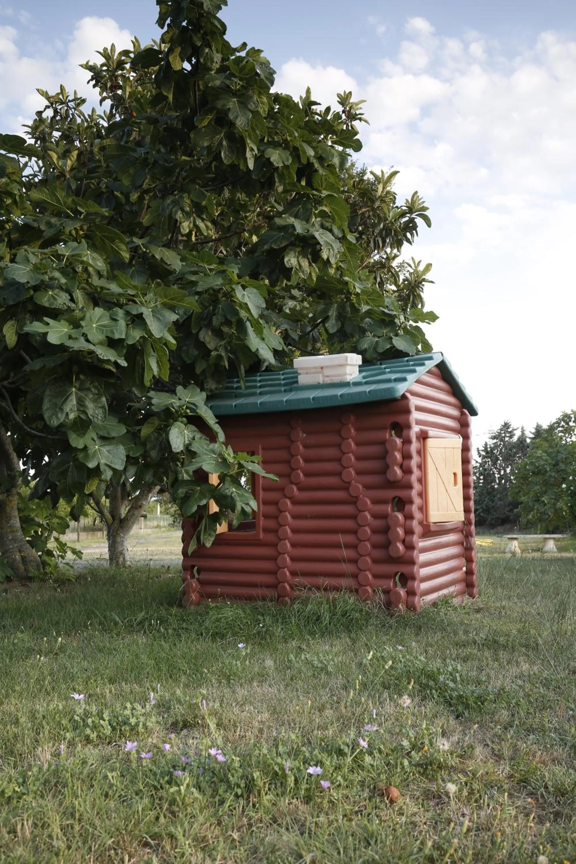Other in Hôtel La Rocade