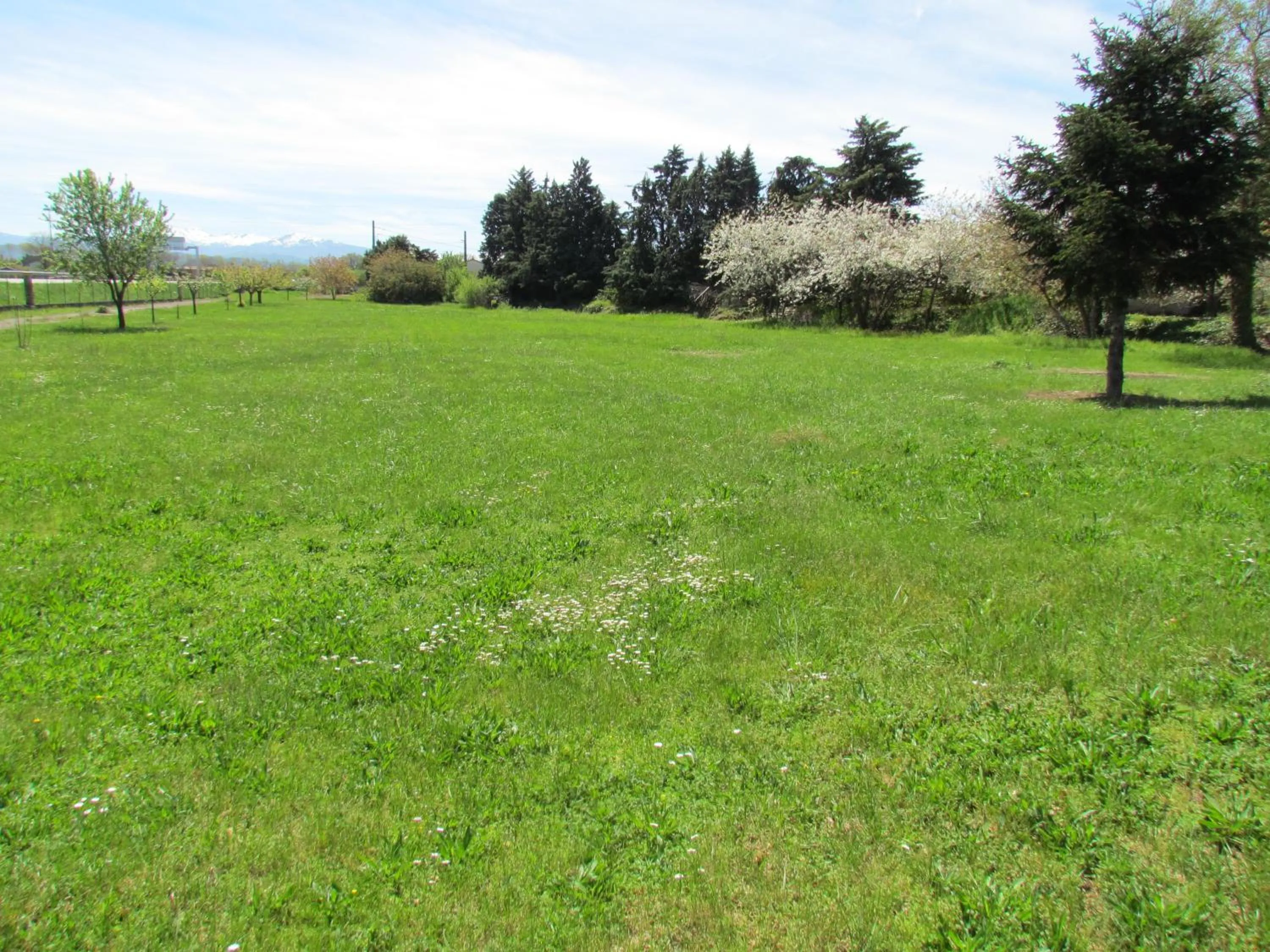 Garden in Hôtel La Rocade