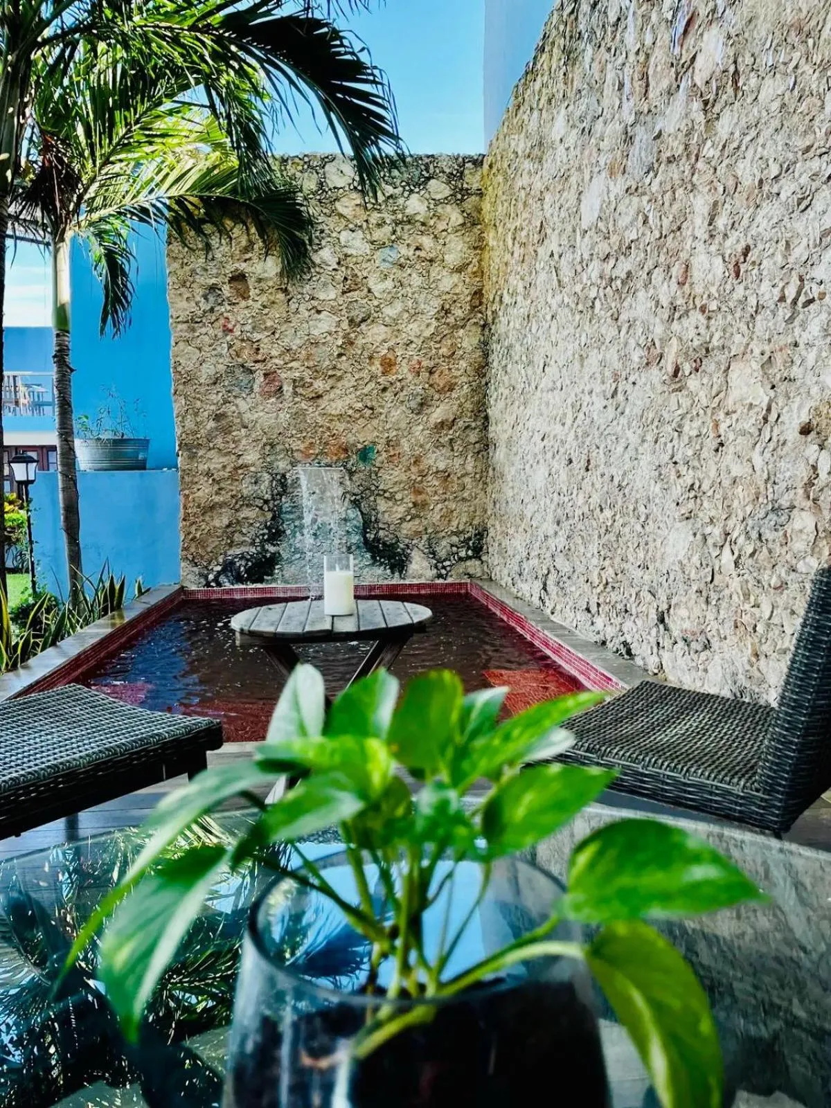 Garden view in Hotel Maculís