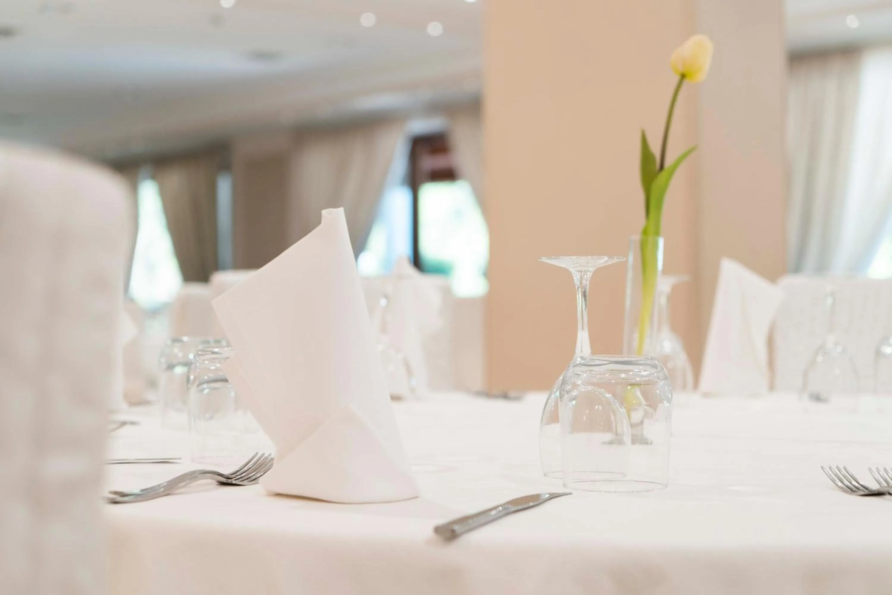 Restaurant/places to eat in Grand Hotel Elite