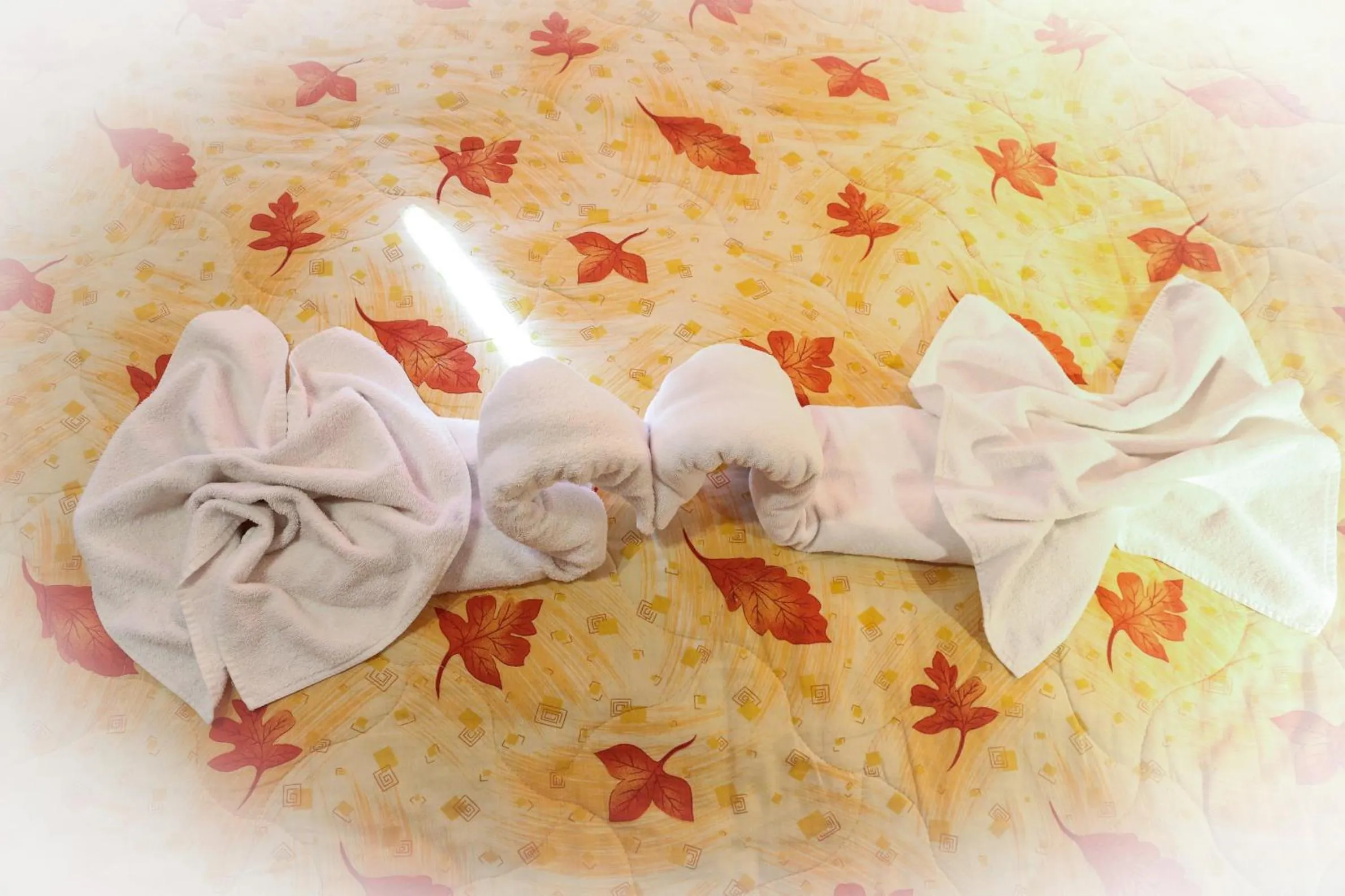 Decorative detail in Family Hotel Bisser