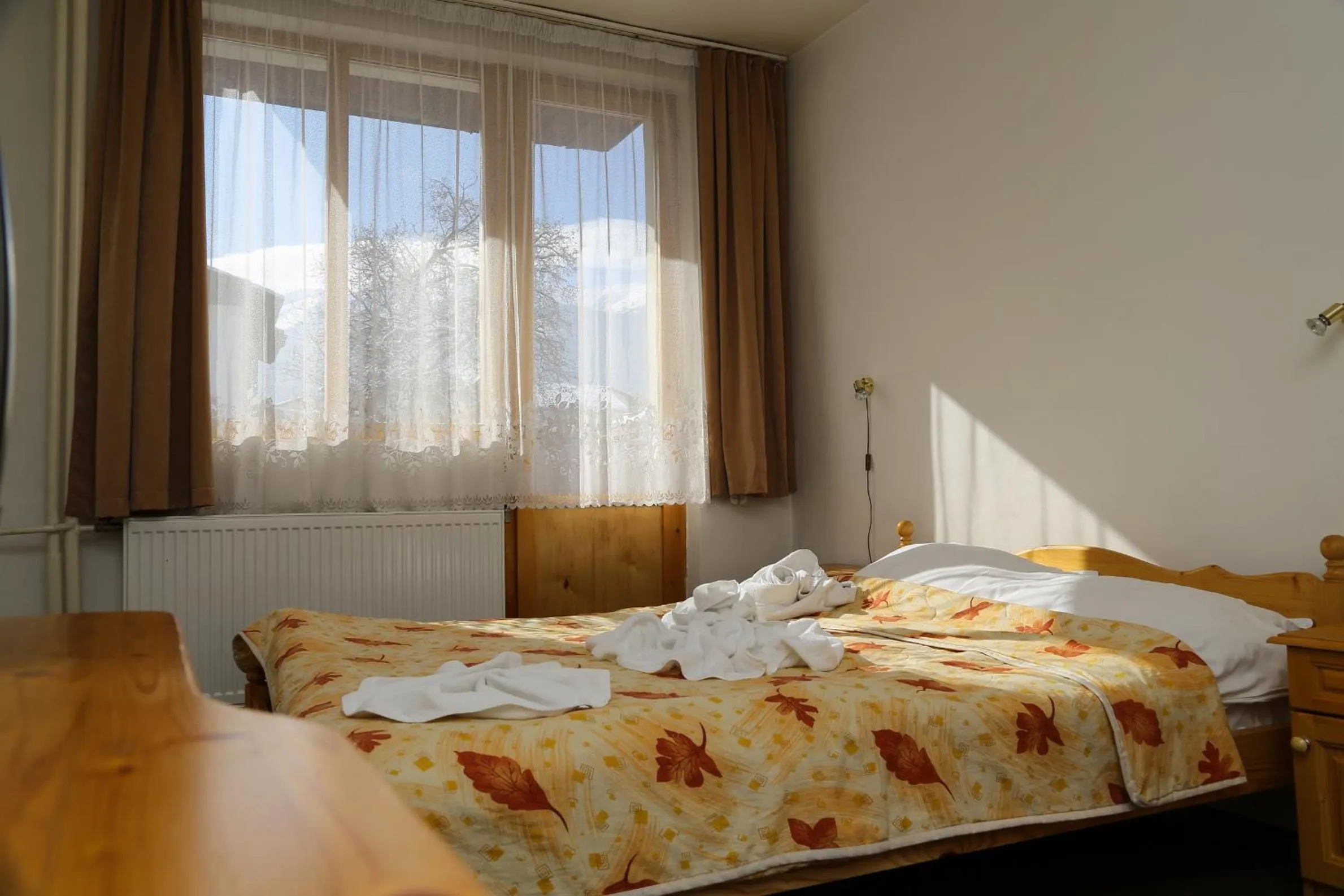 Bed in Family Hotel Bisser