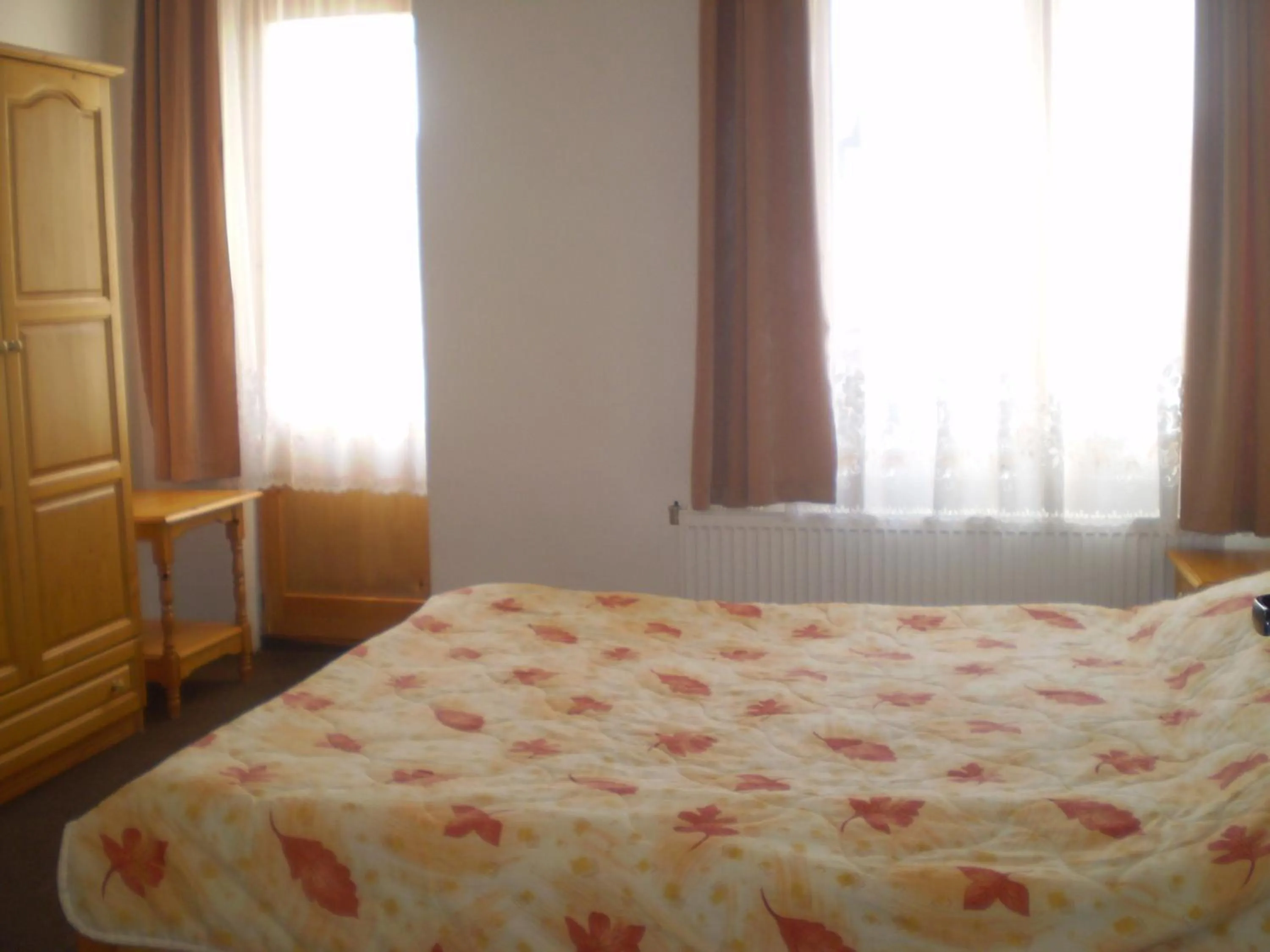 Bed in Family Hotel Bisser