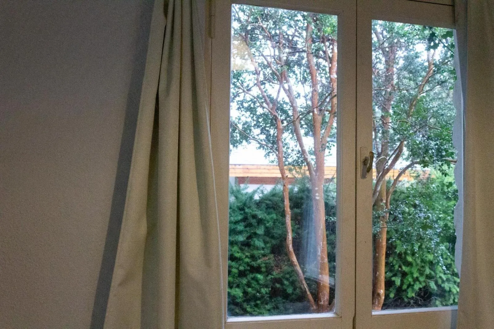 Garden view in Michay, bungalow 4pax, a 50 mts del lago.