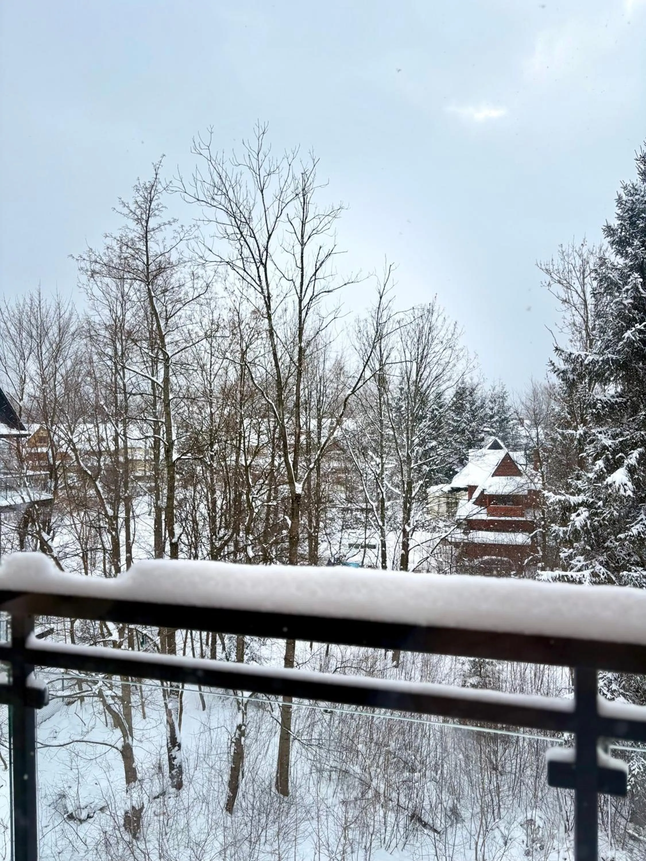 View (from property/room) in Villa Kaplowa Chata & SPA