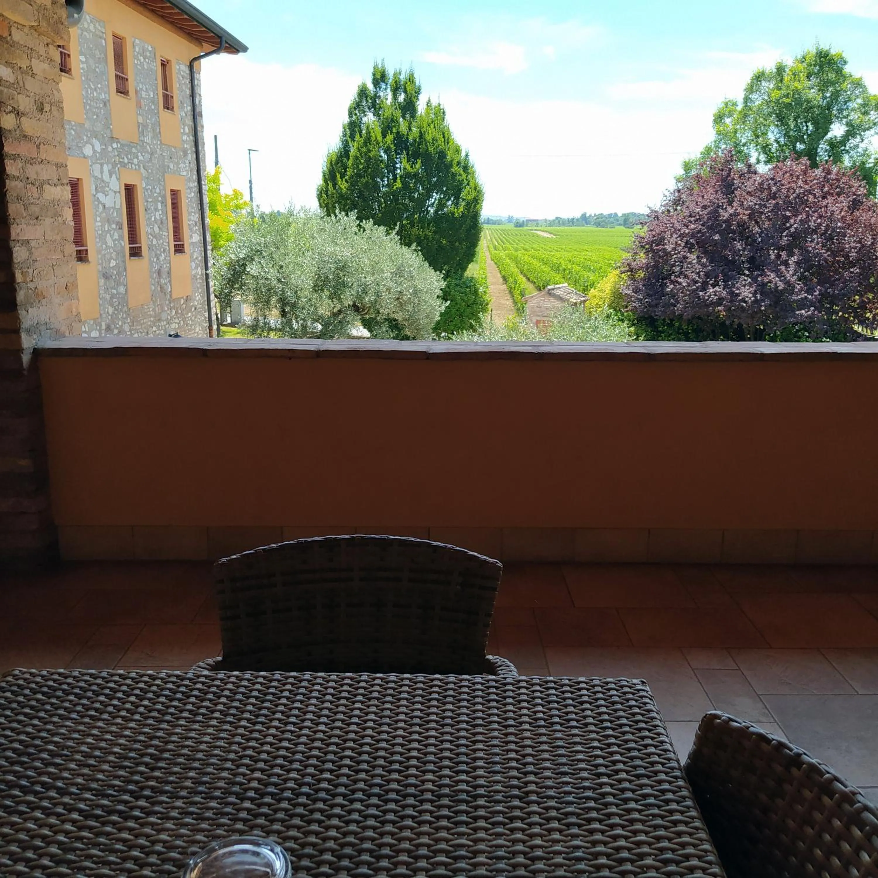 View (from property/room) in Agriturismo Armea