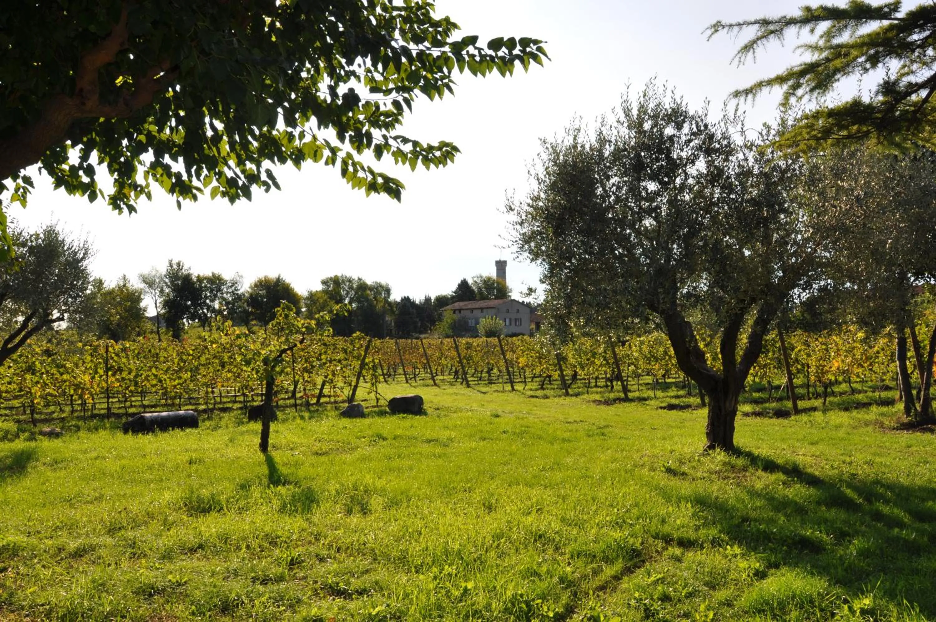 Garden view in Agriturismo Armea