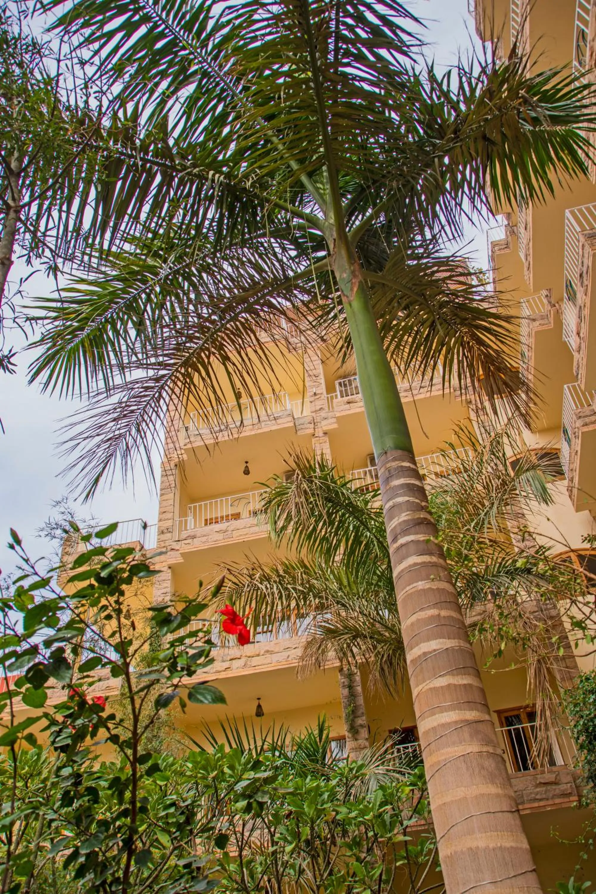 Property building in Thebes Hotel