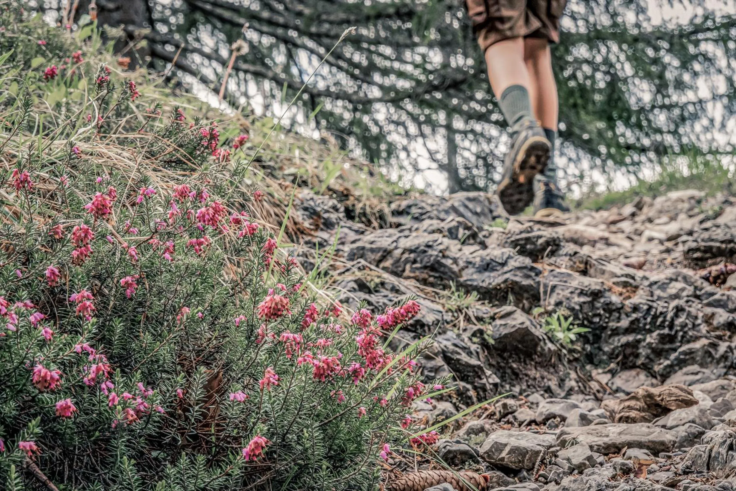 Hiking in Boutique Hotel LechZeit