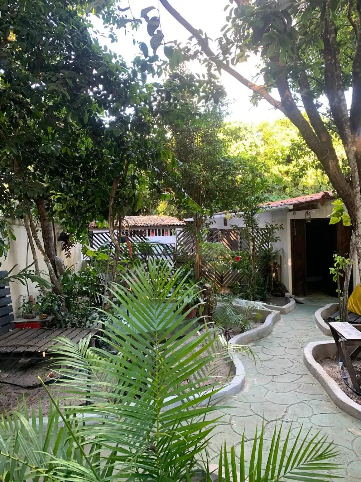 Garden in Conjunto Sol Roots
