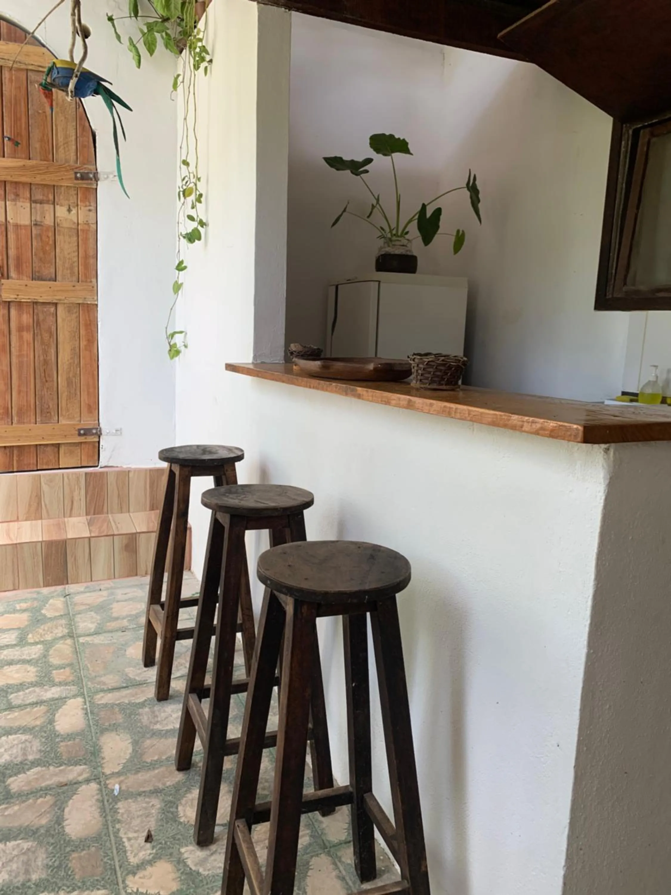 Patio in Conjunto Sol Roots