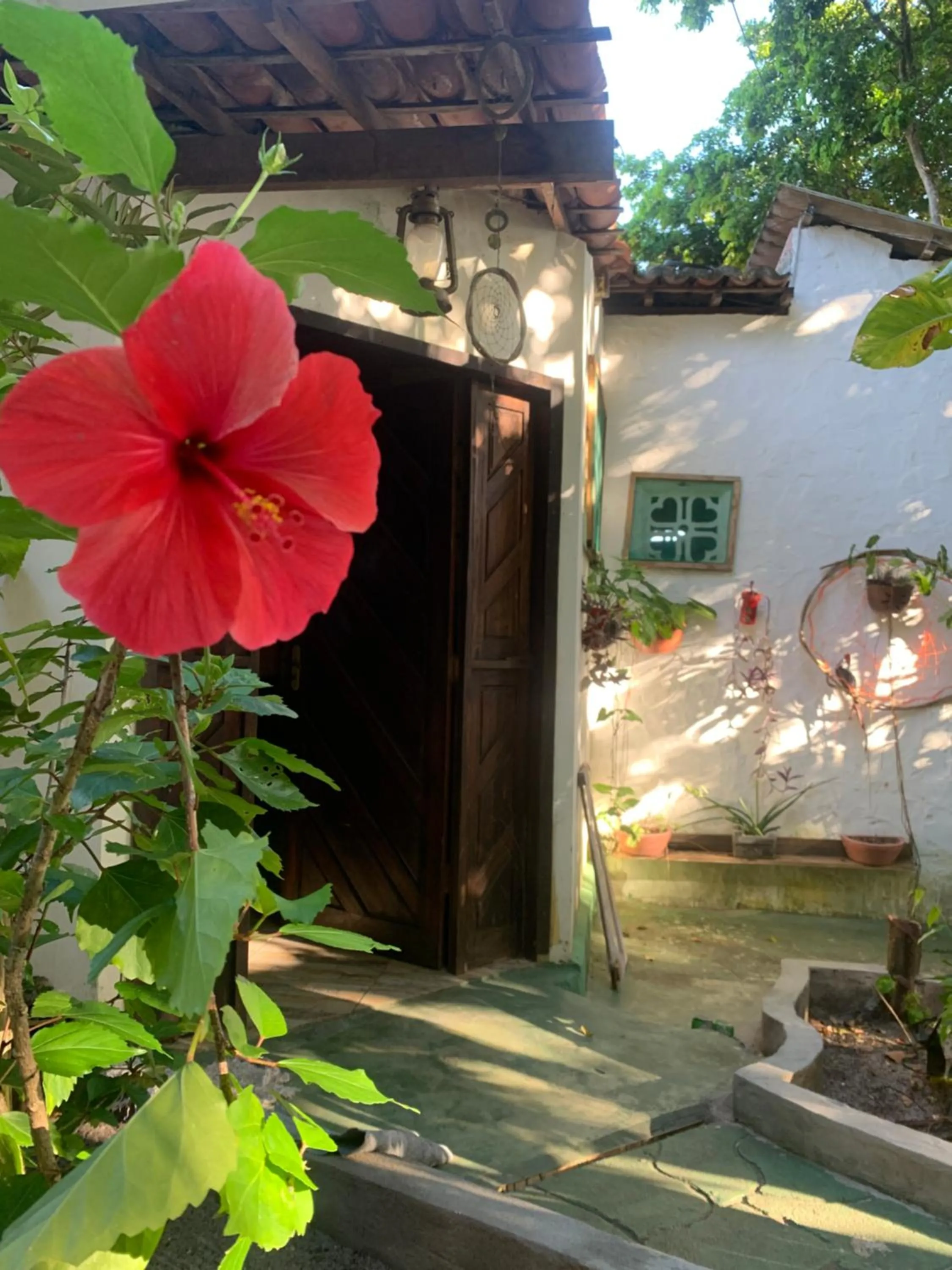 Property building in Conjunto Sol Roots