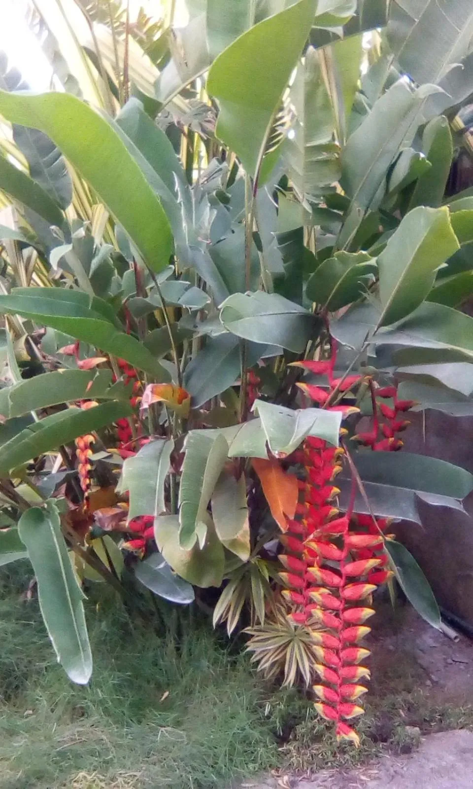 Sun & Moon Good View Villa