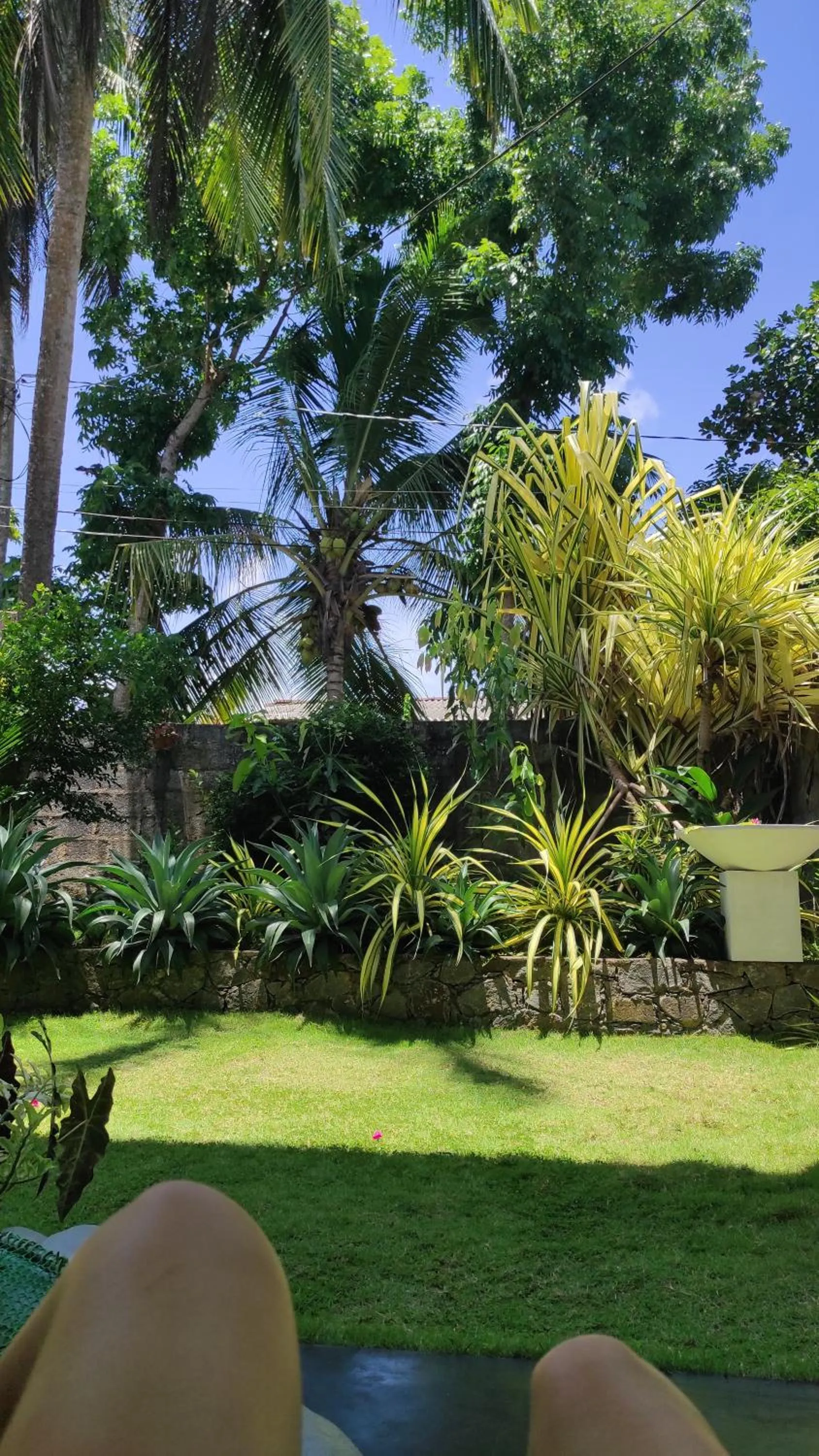 Garden in Sun & Moon Good View Villa