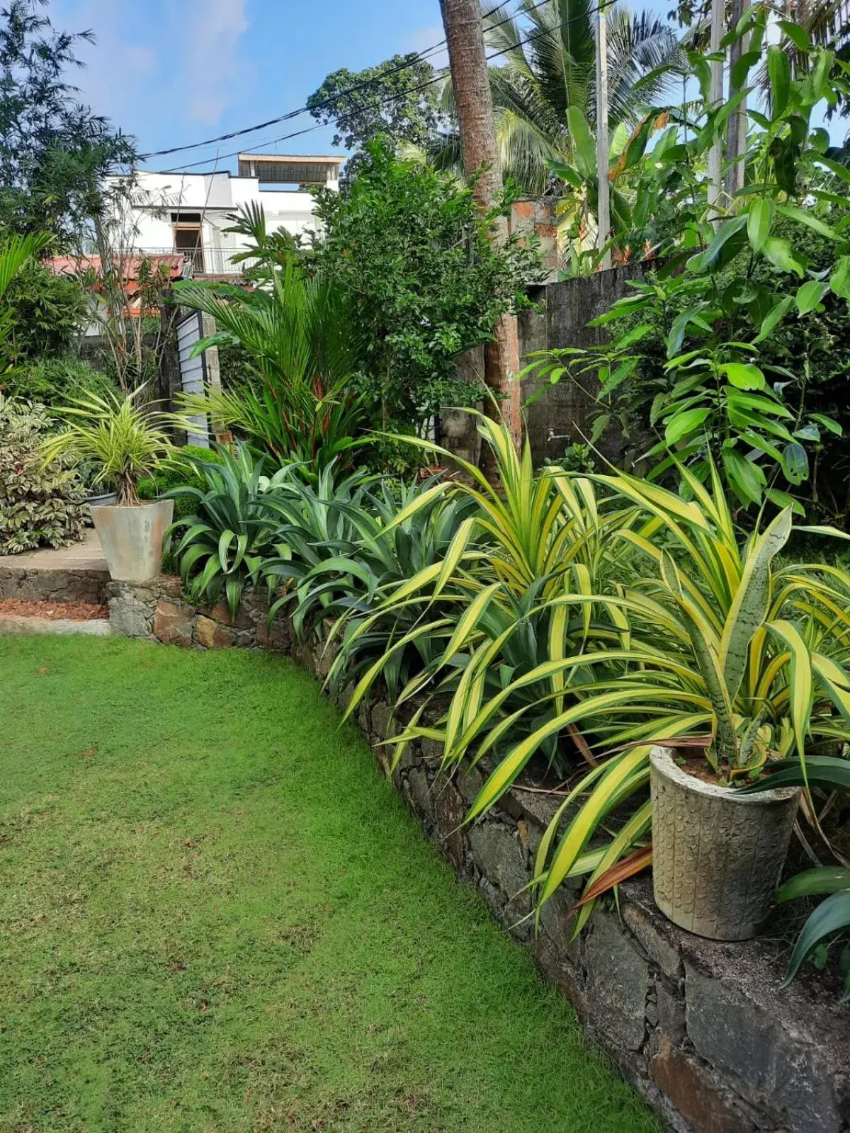 Deluxe Double Room with Side Sea View - single occupancy in Sun & Moon Good View Villa Deluxe Double Room with Side Sea View - single occupancy in Sun & Moon Good View Villa