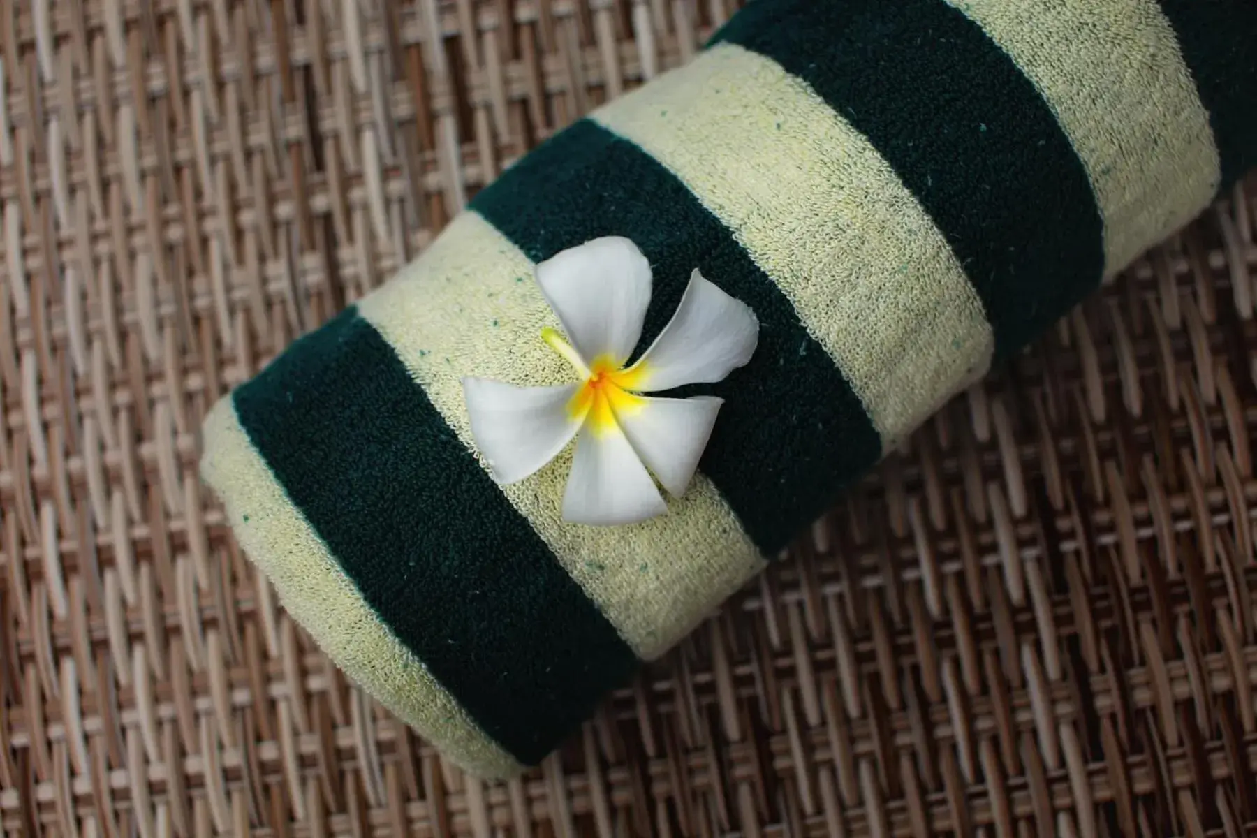 Breakfast in Sari Gili Bungalow Breakfast in Sari Gili Bungalow