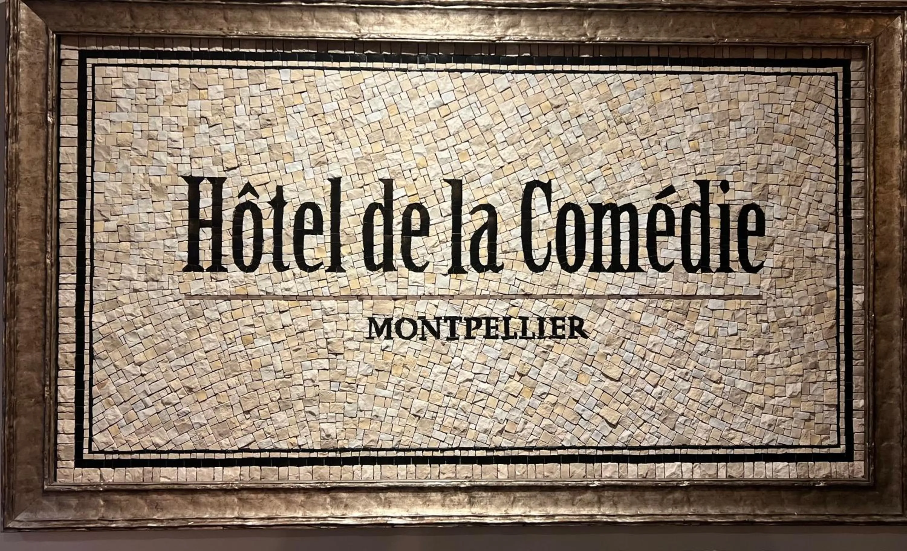 Property logo or sign in Hotel de La Comédie - Place De La Comédie