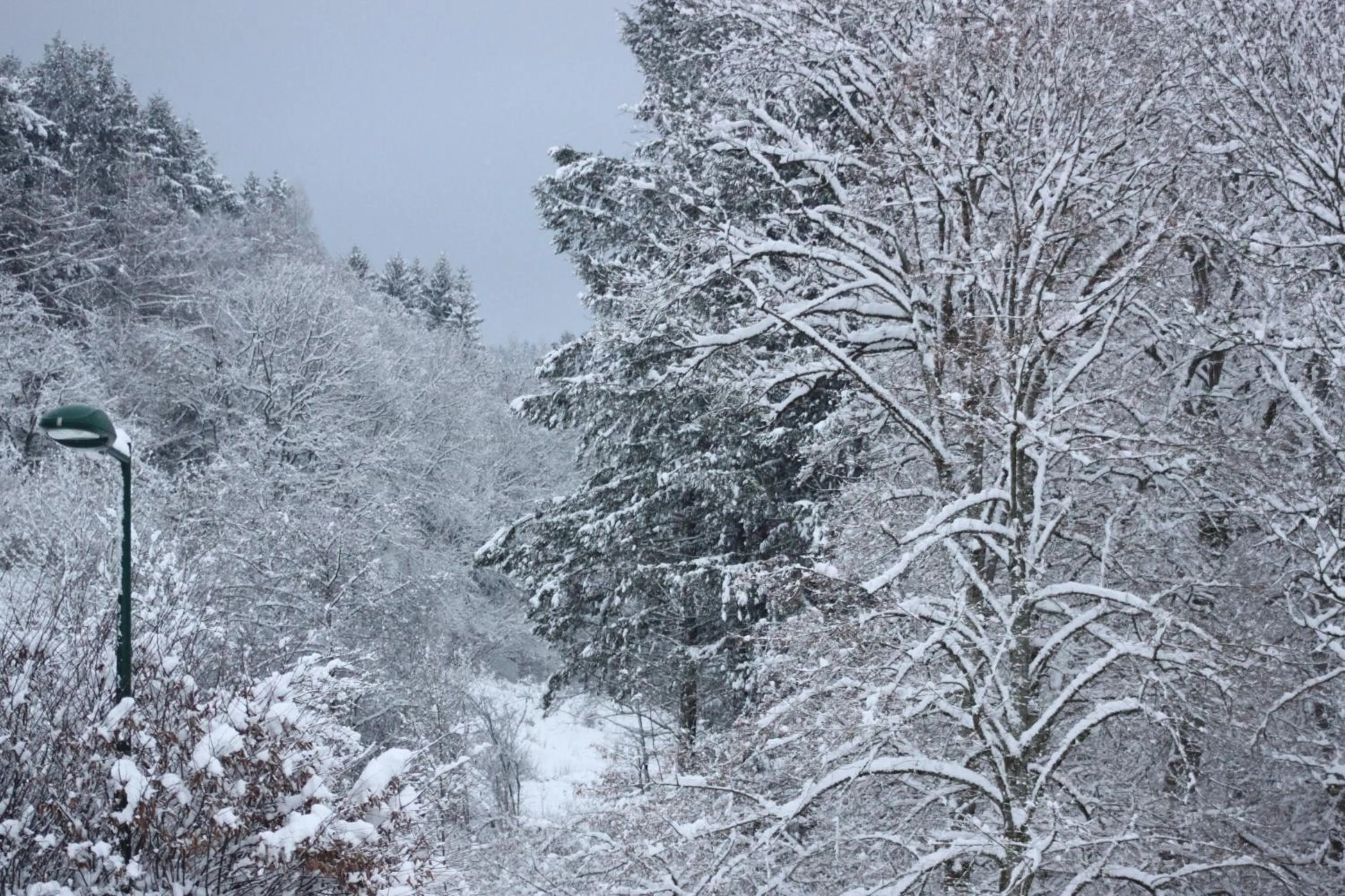 Winter in Logis Hôtel Restaurant de la Dore
