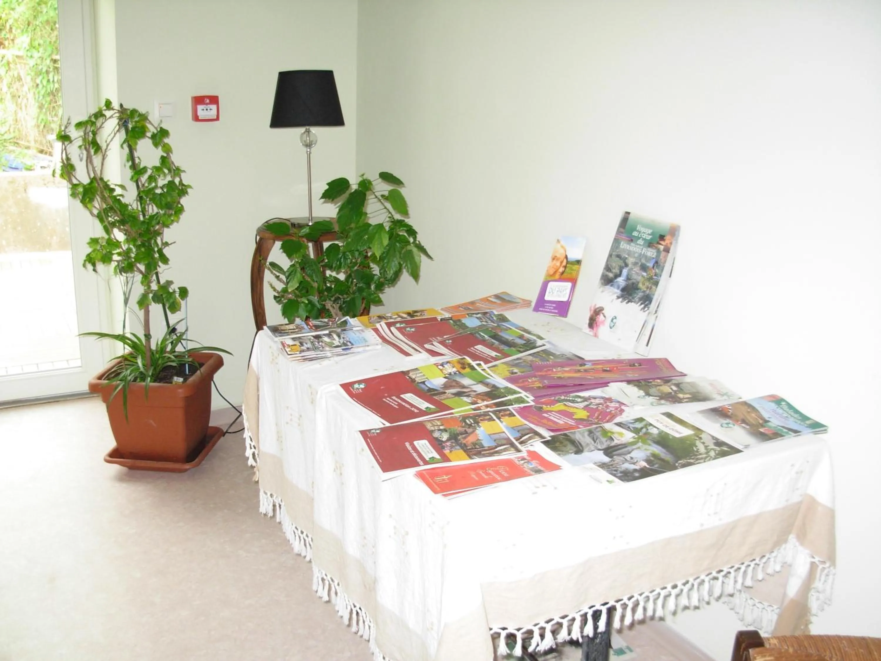 Library in Logis Hôtel Restaurant de la Dore