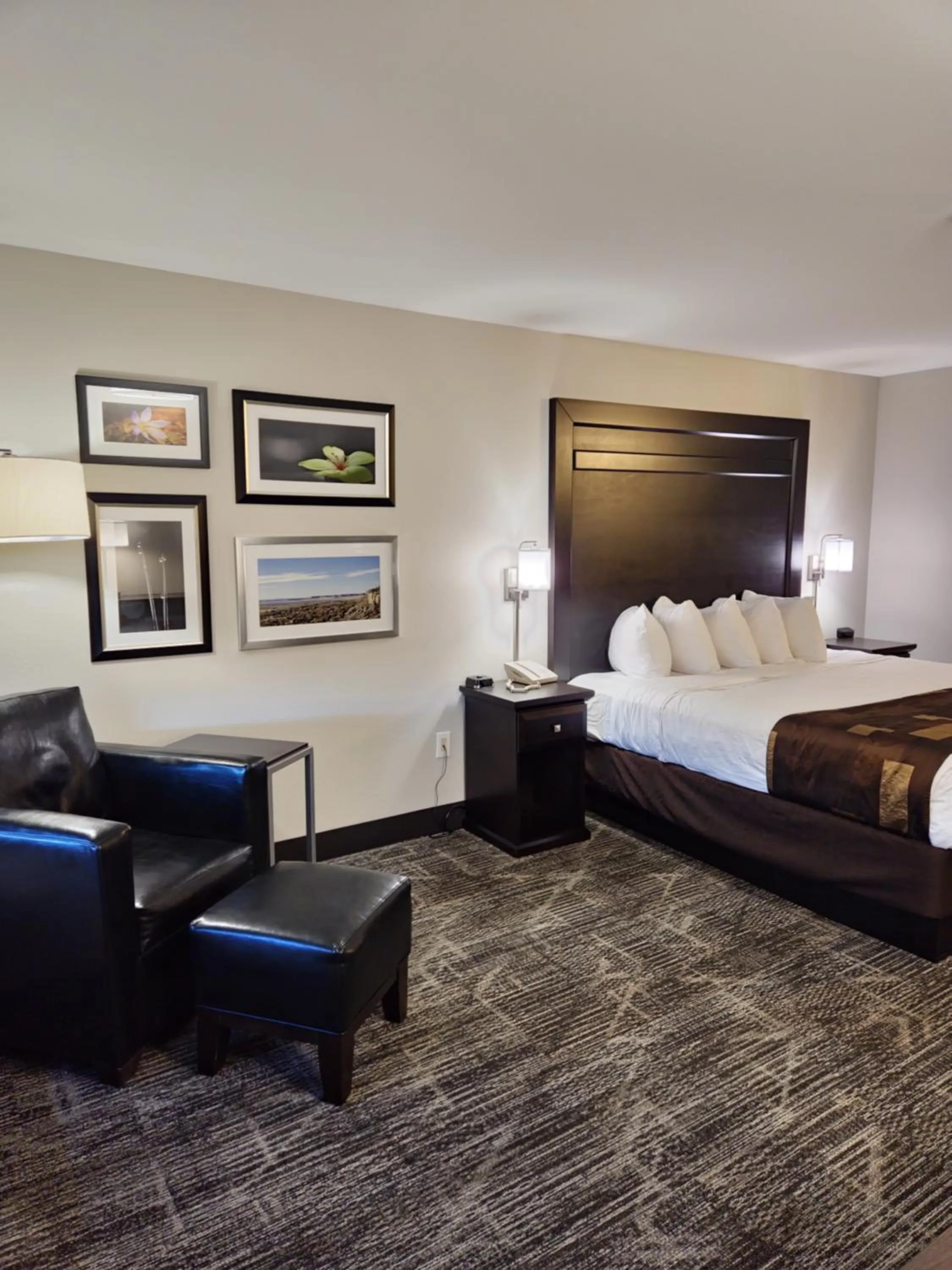 Photo of the whole room, Bed in Kelly Inn Billings