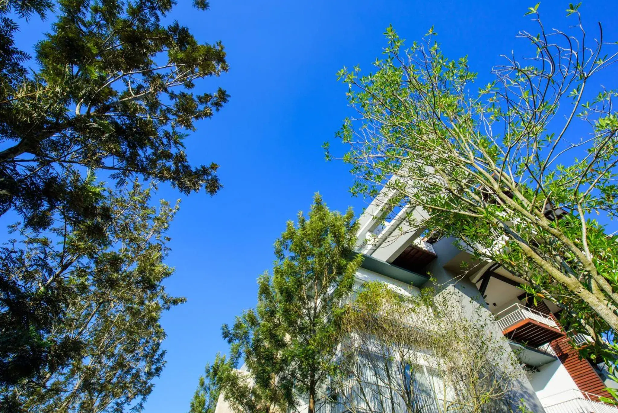 Property building in The Gallery Khao Yai Hotel and Residence - SHA Plus Property building in The Gallery Khao Yai Hotel and Residence - SHA Plus