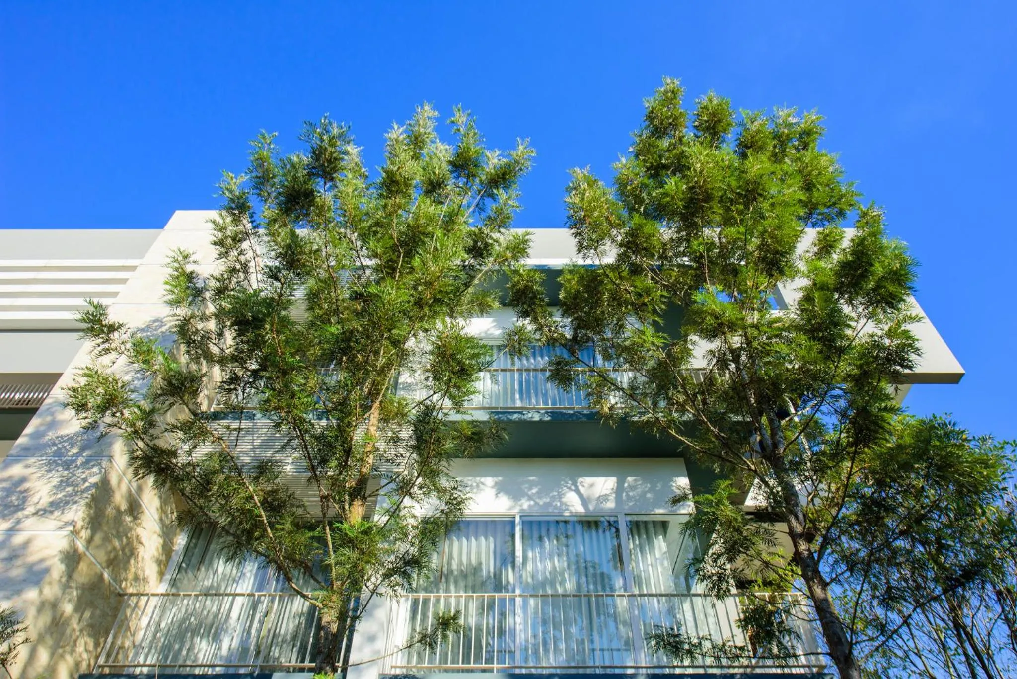 Property building in The Gallery Khao Yai Hotel and Residence - SHA Plus