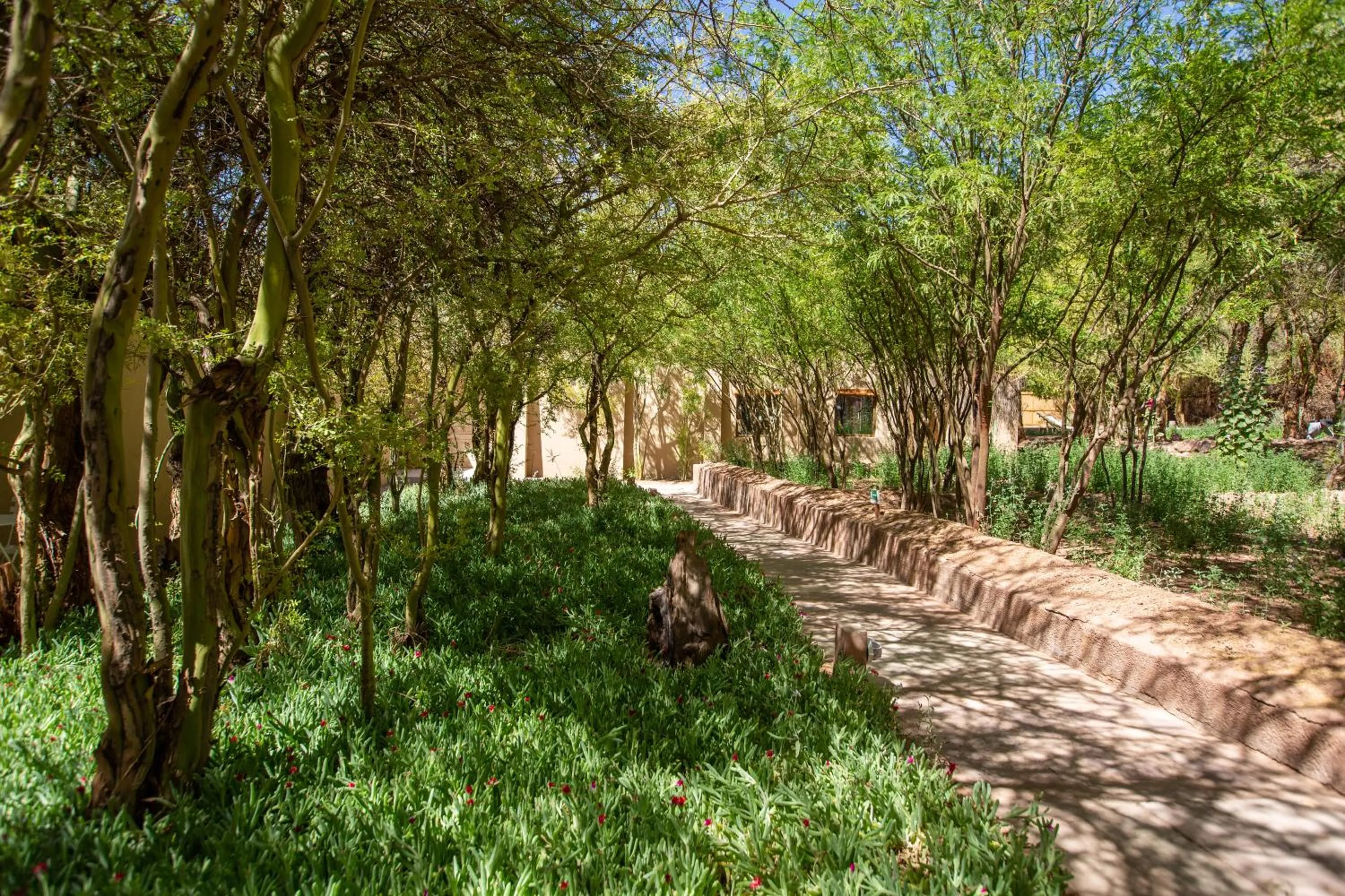 Day in Casa Solcor Boutique Bed & Breakfast