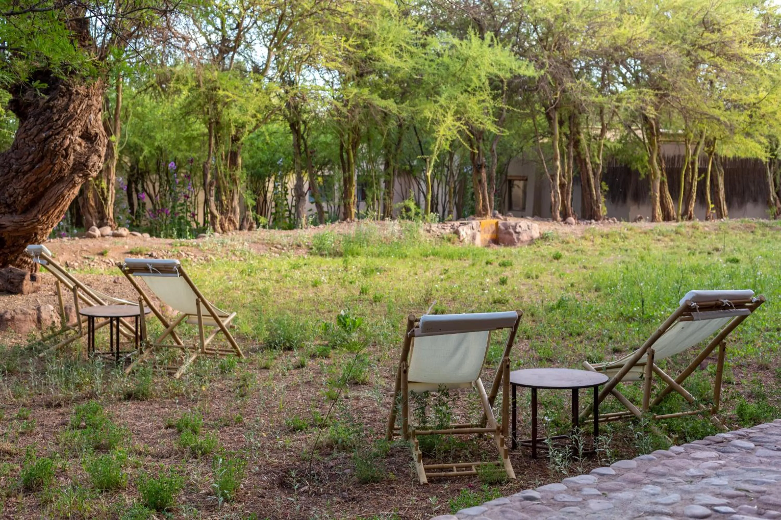 Day in Casa Solcor Boutique Bed & Breakfast