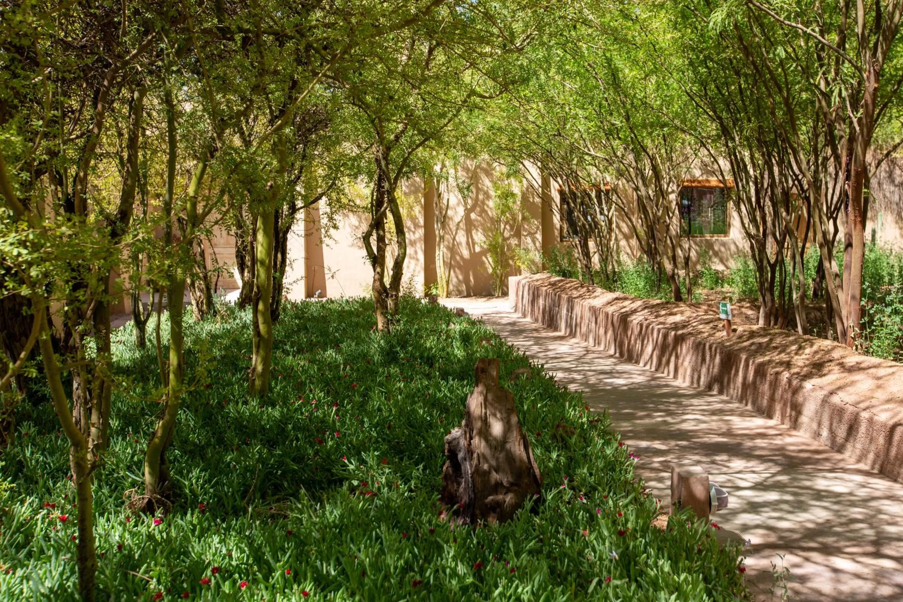 Day in Casa Solcor Boutique Bed & Breakfast