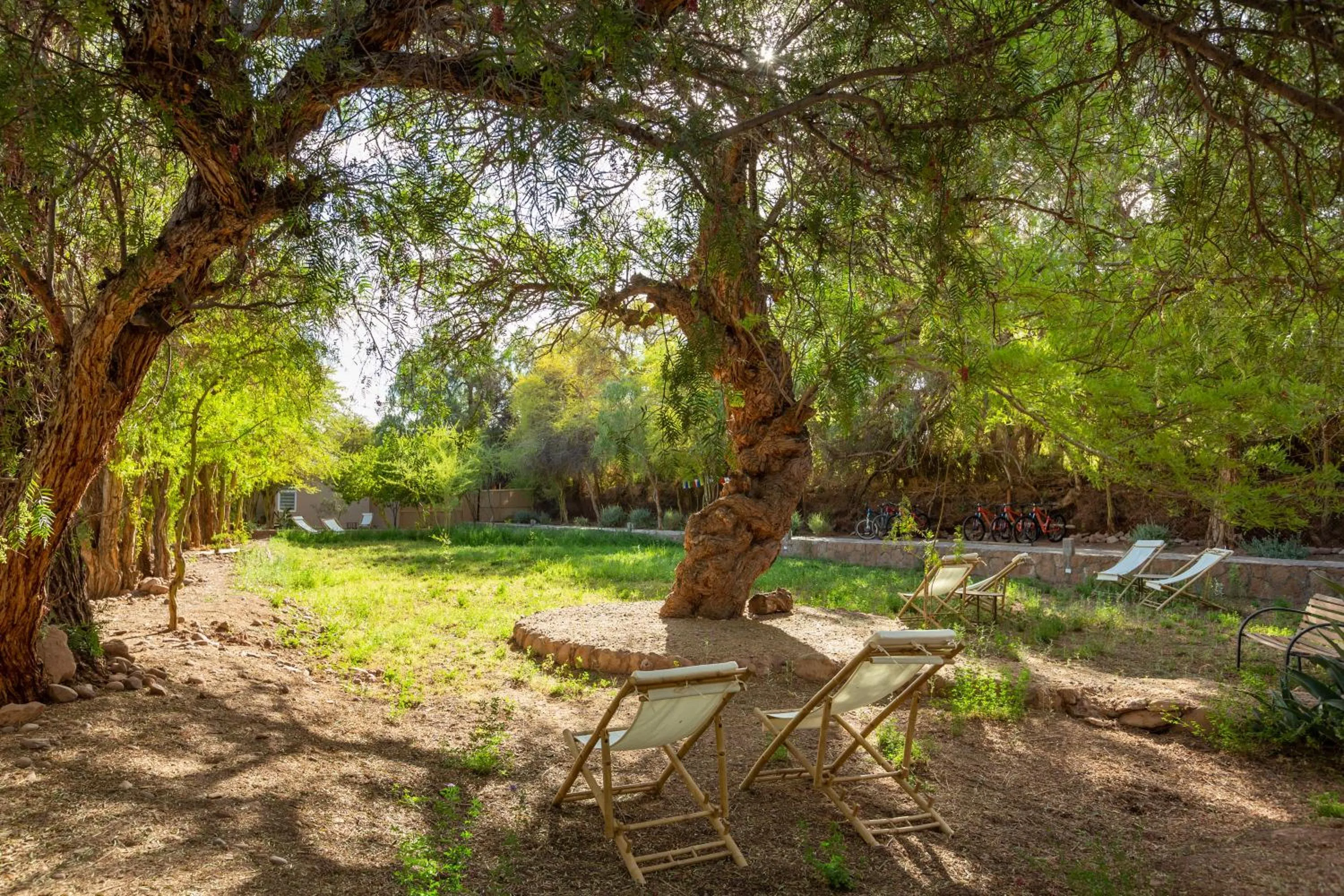 Day in Casa Solcor Boutique Bed & Breakfast