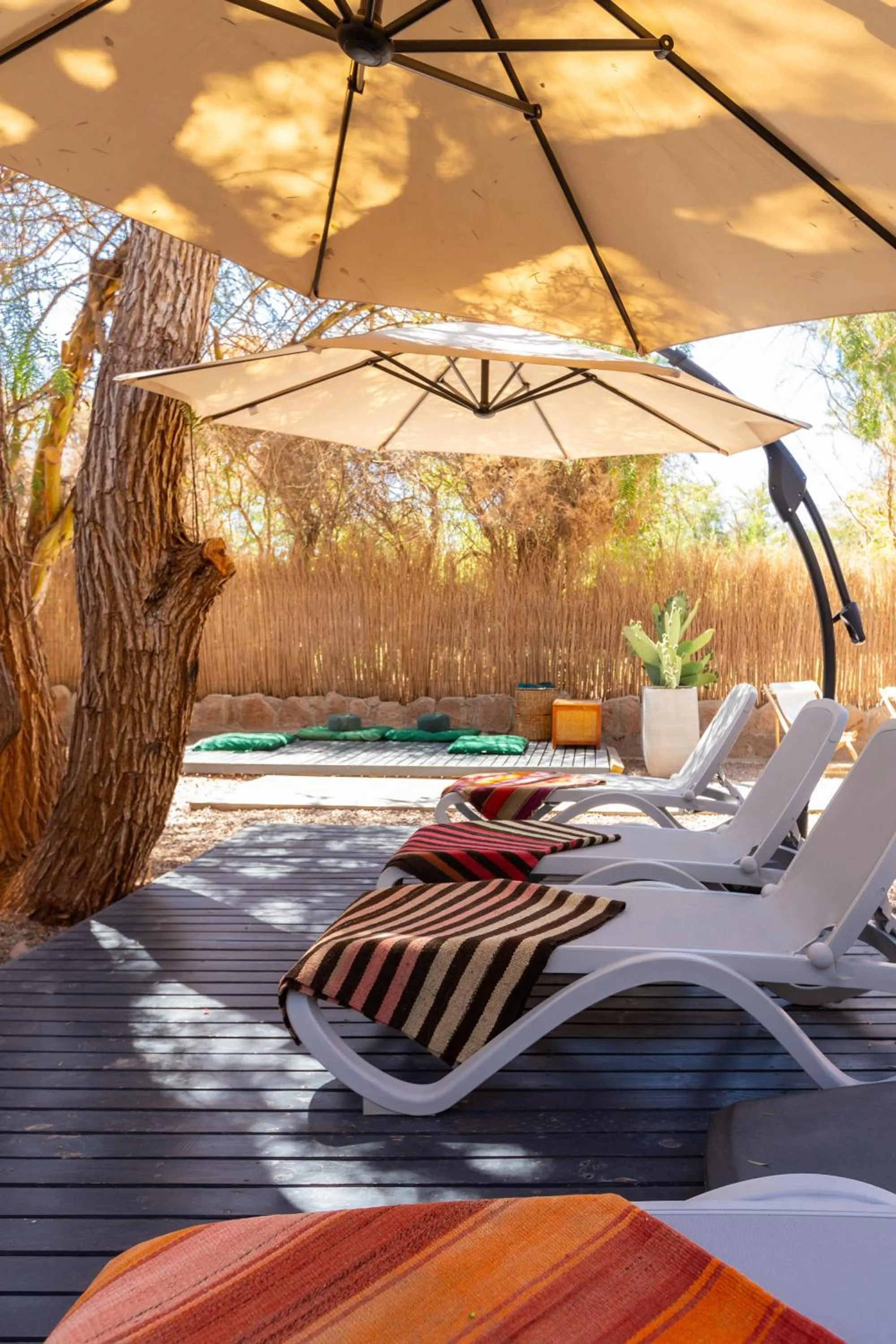 sunbed in Casa Solcor Boutique Bed & Breakfast