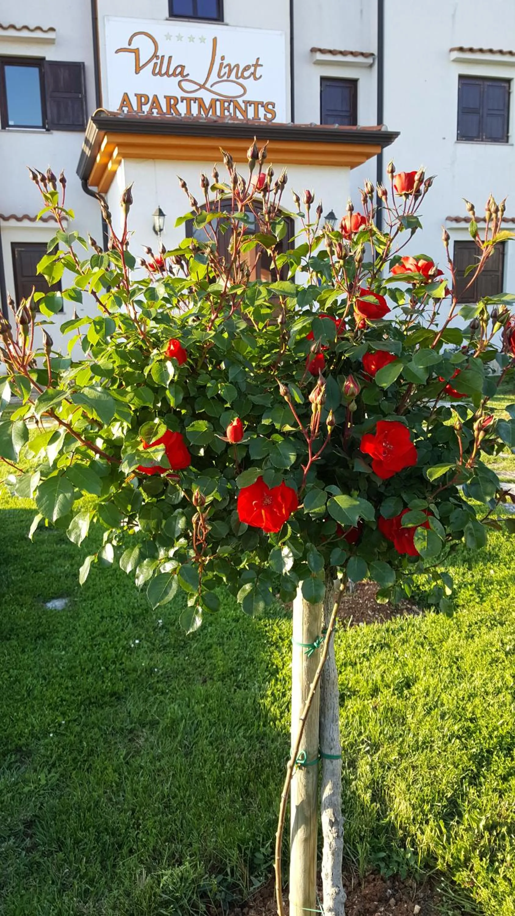 Villa Linet Garden
