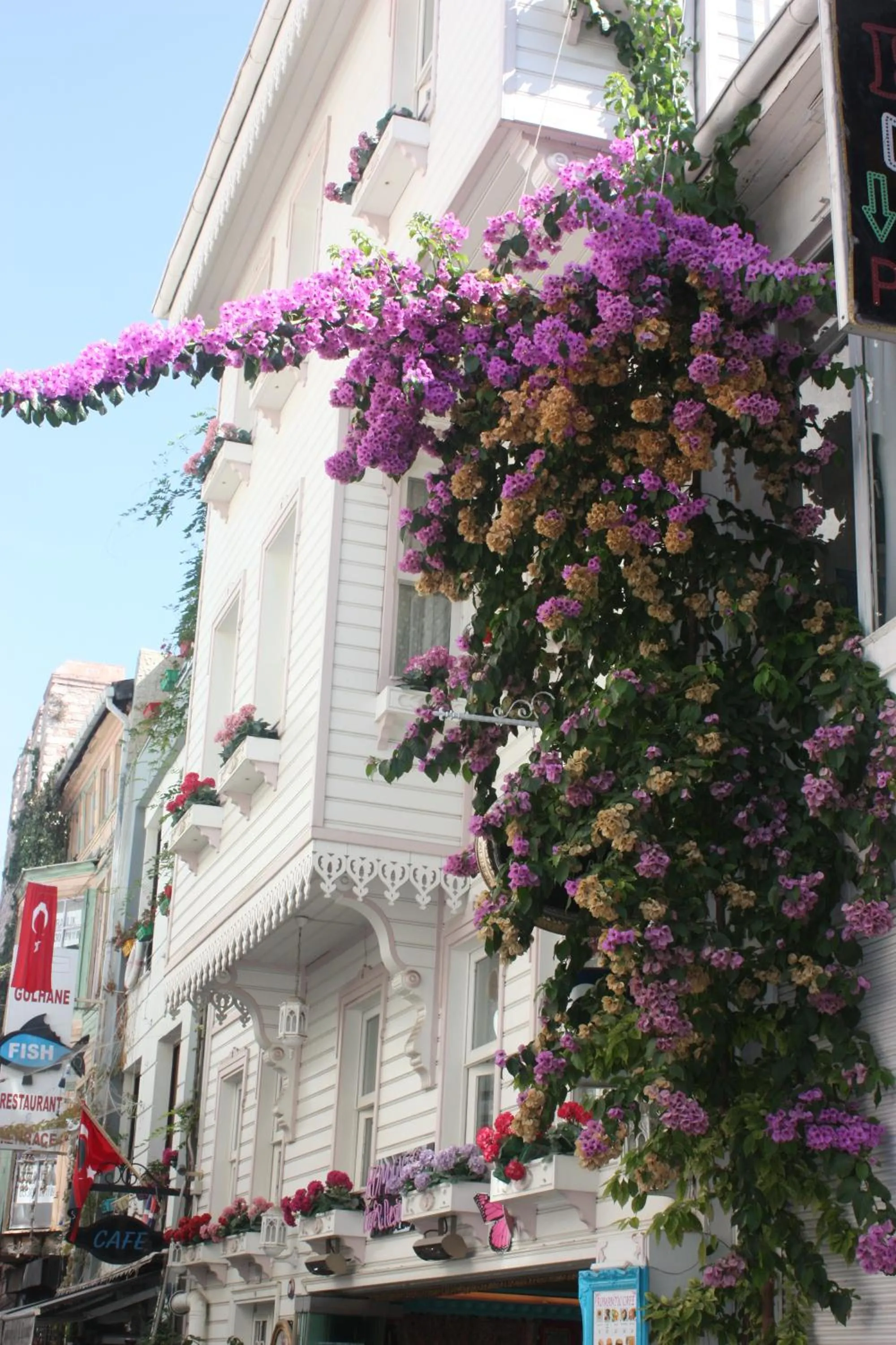 Property building in Romantic Mansion