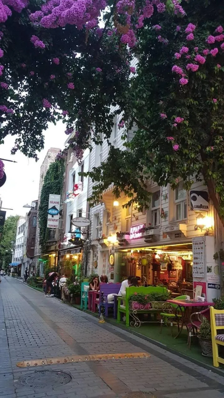 City view in Romantic Mansion