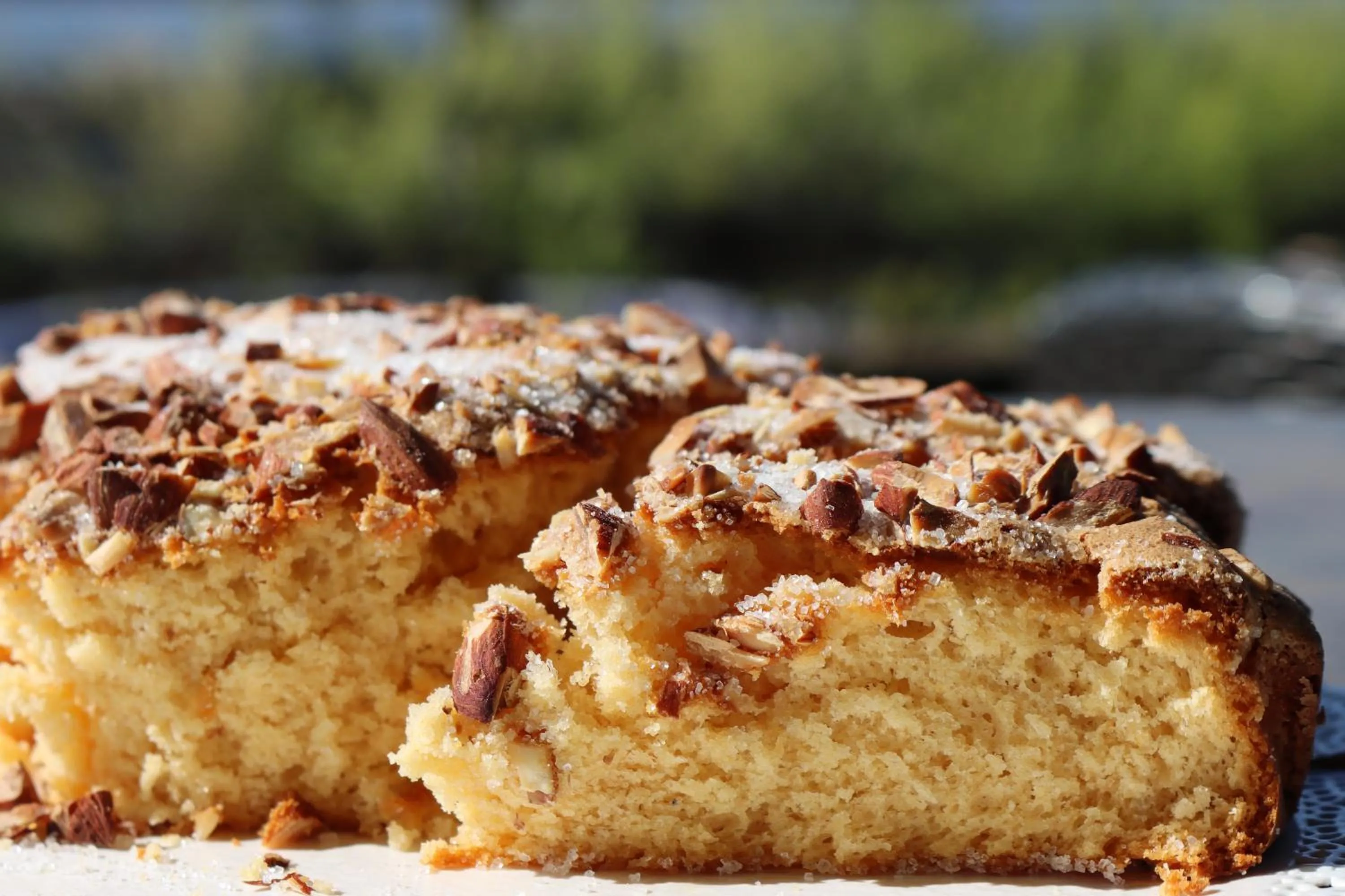 Food and drinks in Albergo Alla Pineta