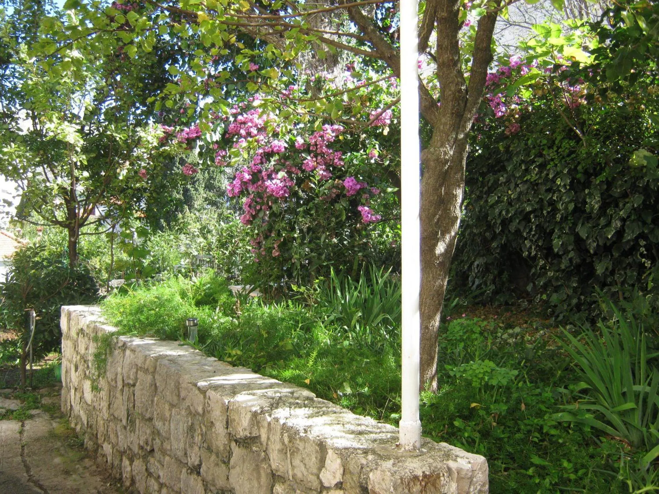 Garden in Apartments and Rooms Artemida