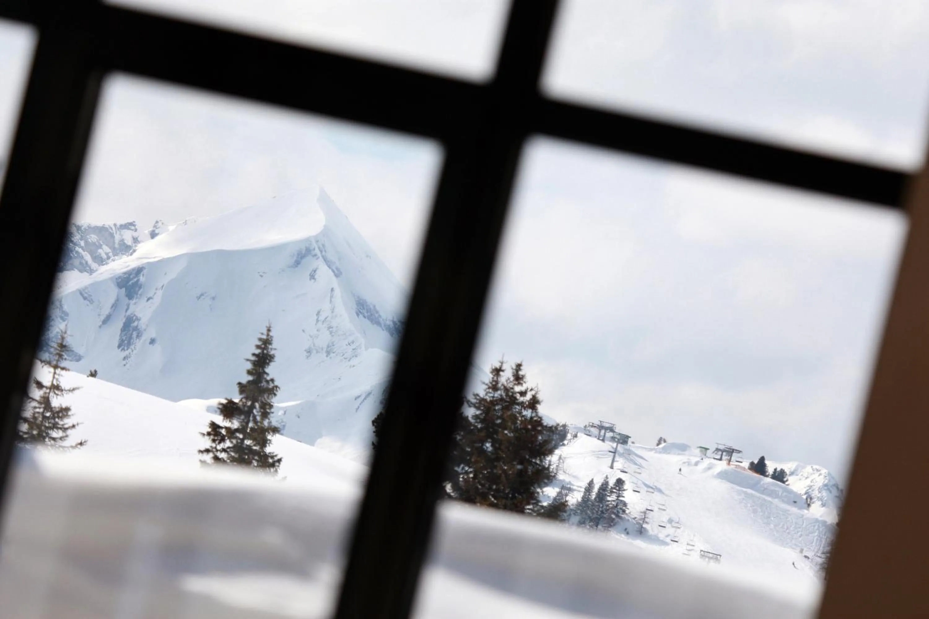 Natural landscape in Hotel Wagner