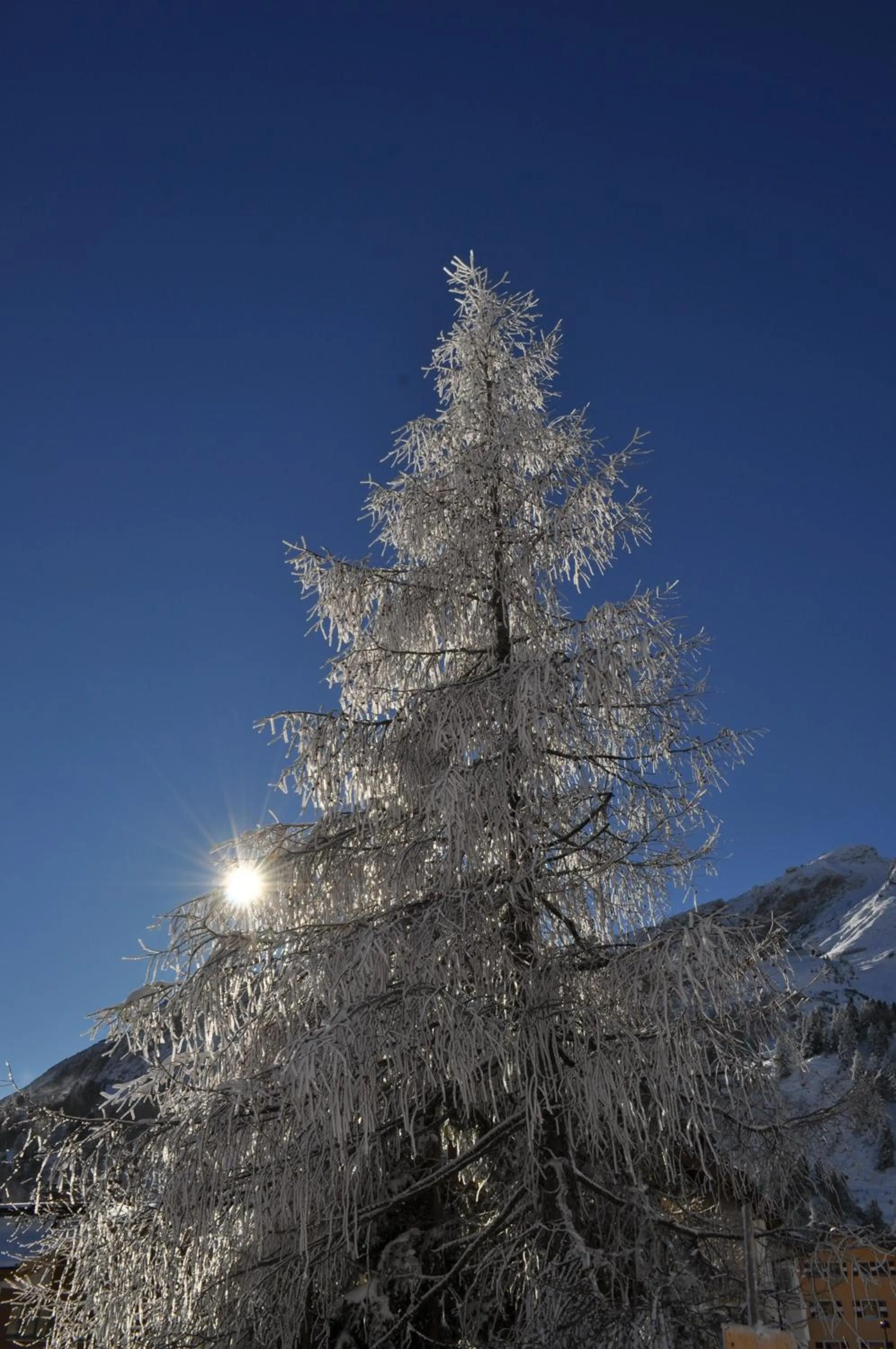View (from property/room) in Hotel Wagner