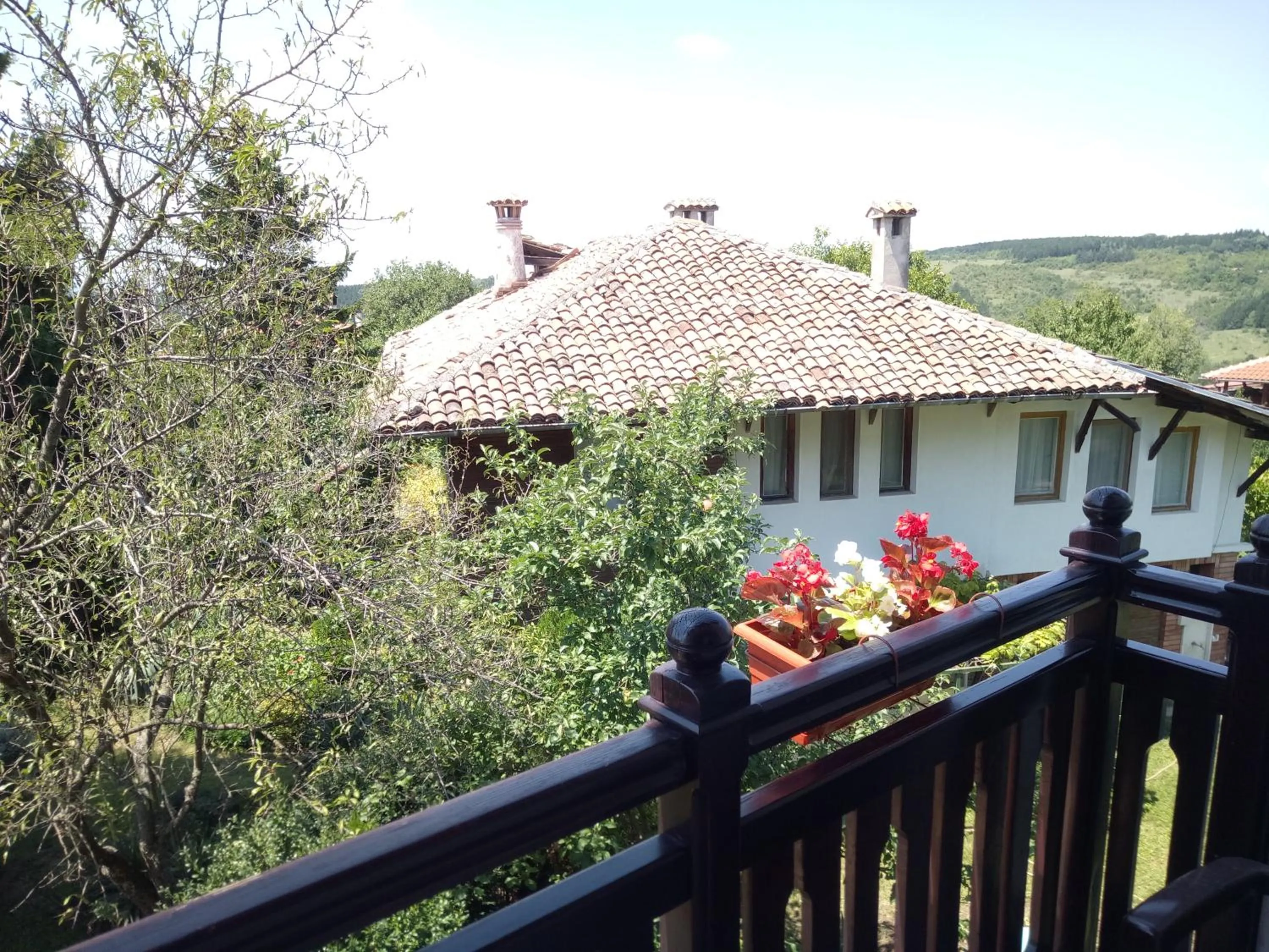 Family hotel Elena