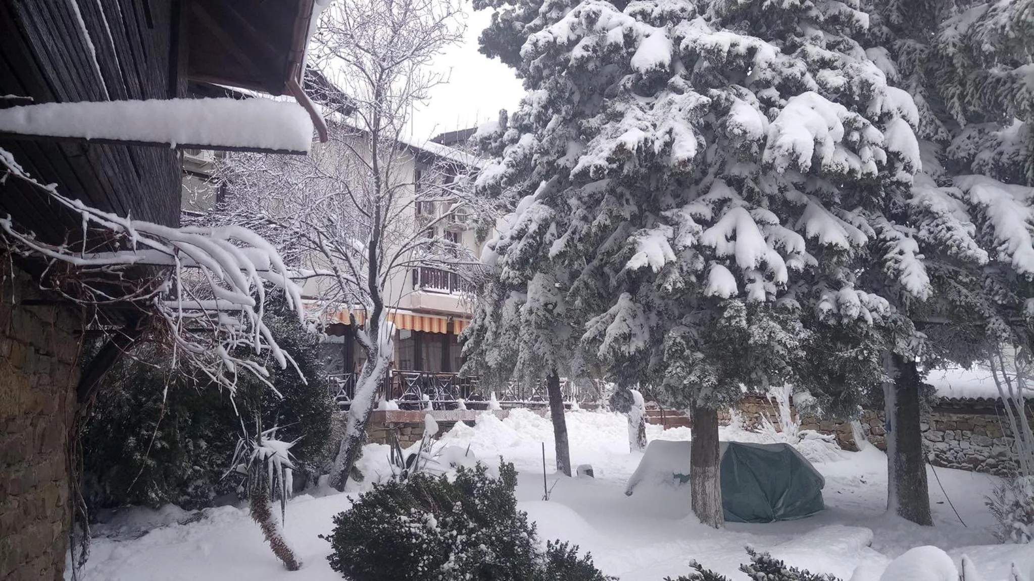 Family hotel Elena