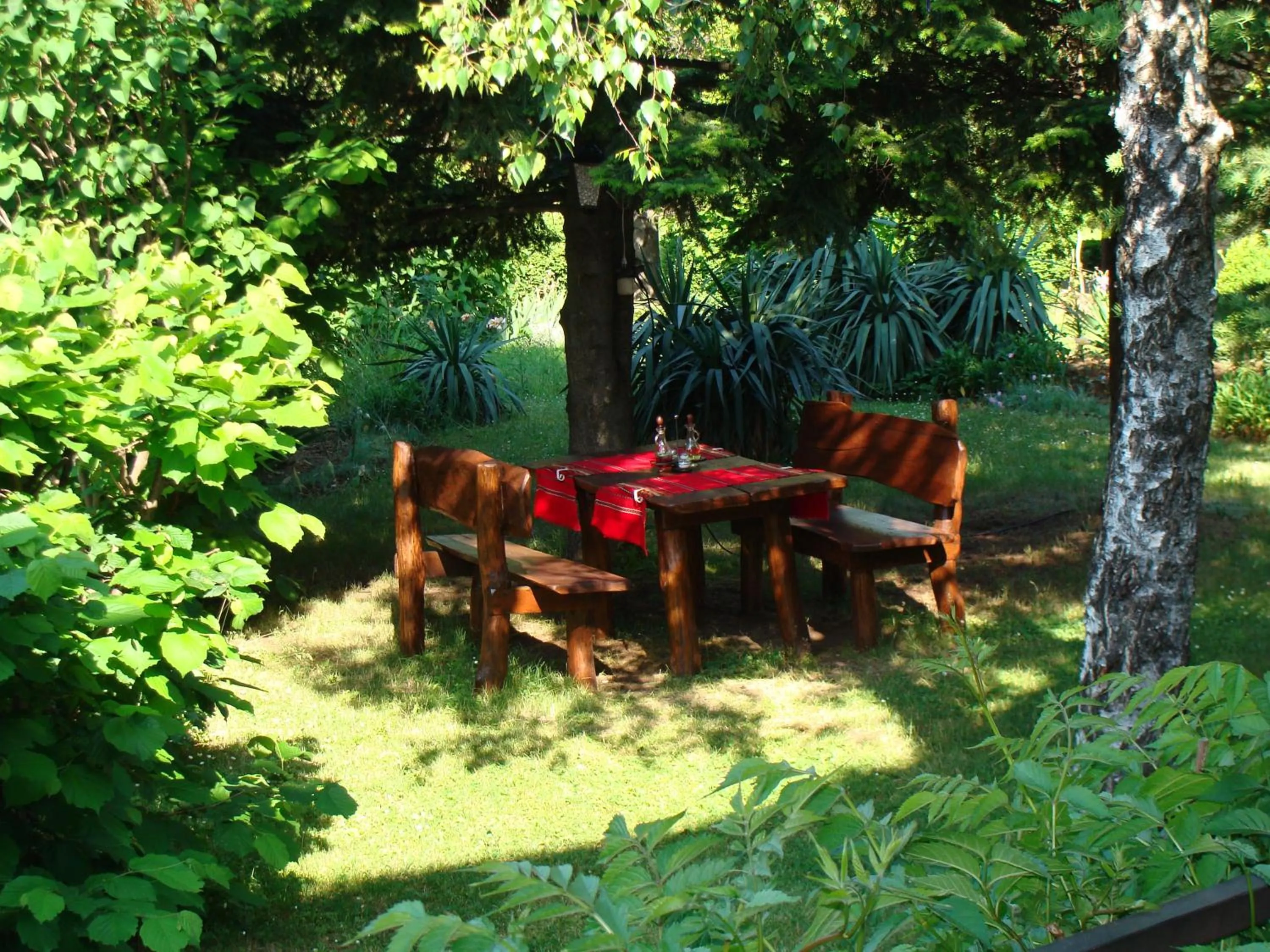 Day in Family hotel Elena