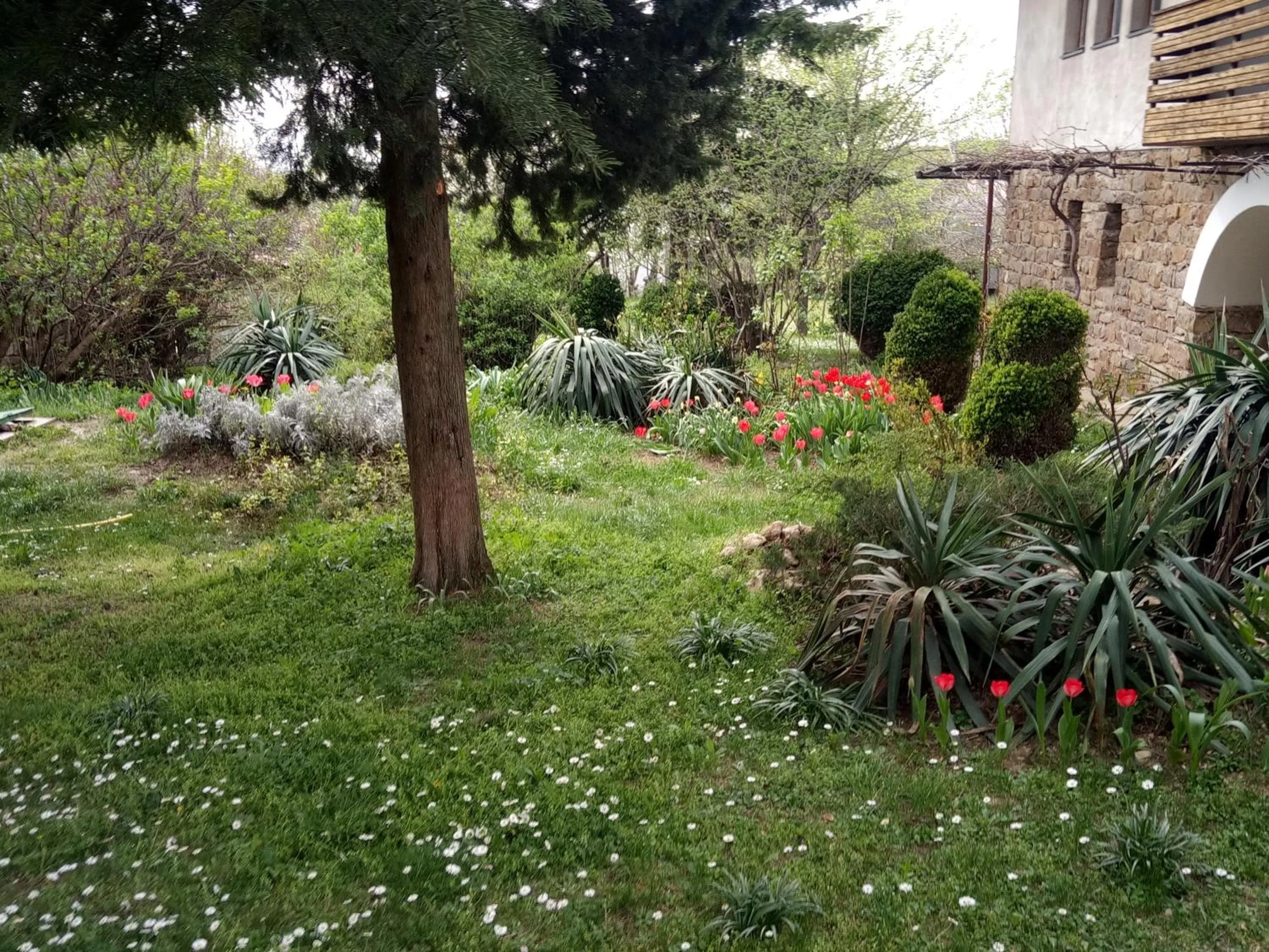 Garden in Family hotel Elena