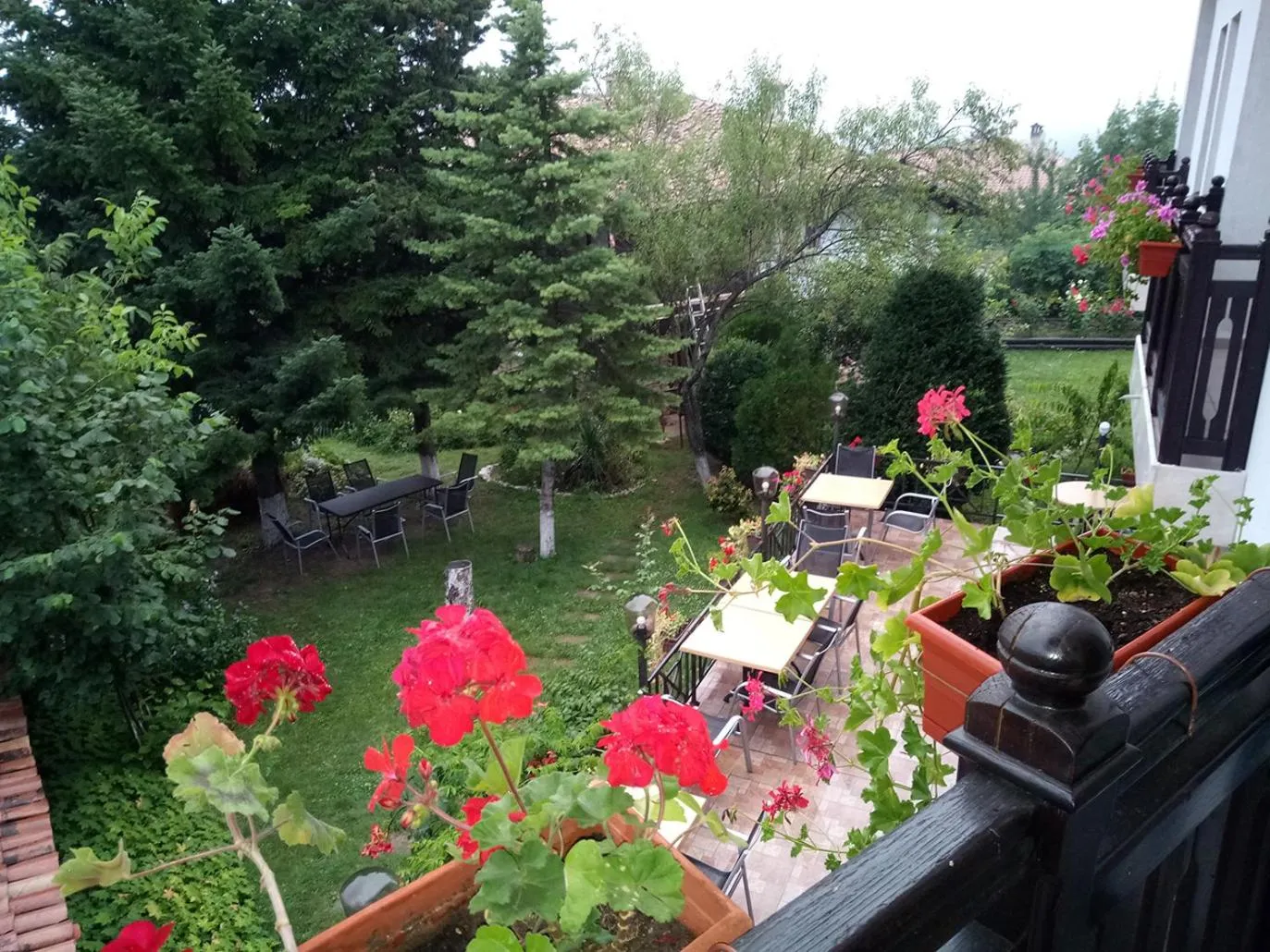 Family hotel Elena