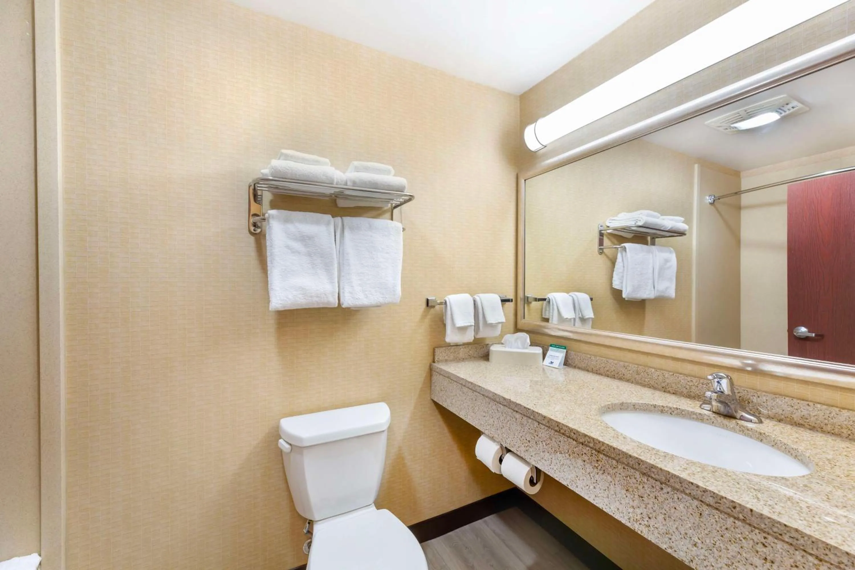 Bathroom in Best Western PLUS Victor Inn & Suites